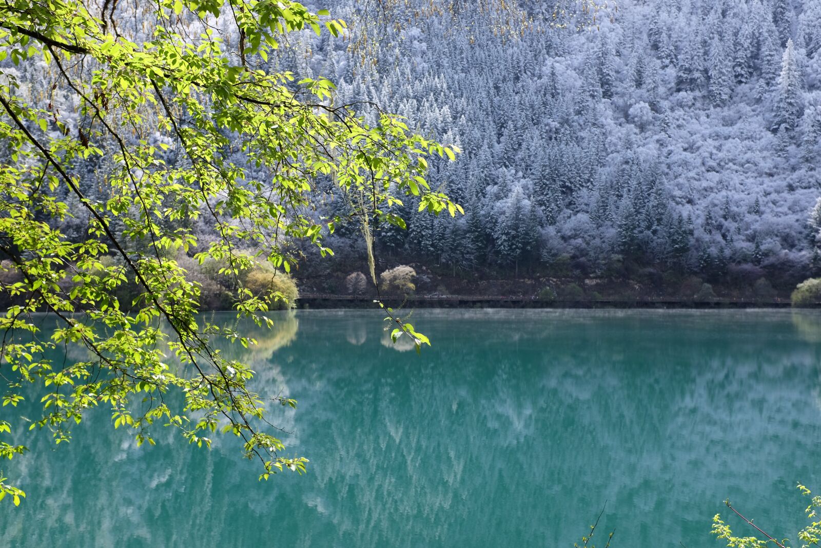 Fujifilm X100T sample photo. Jiuzhaigou, lake, sichuan photography