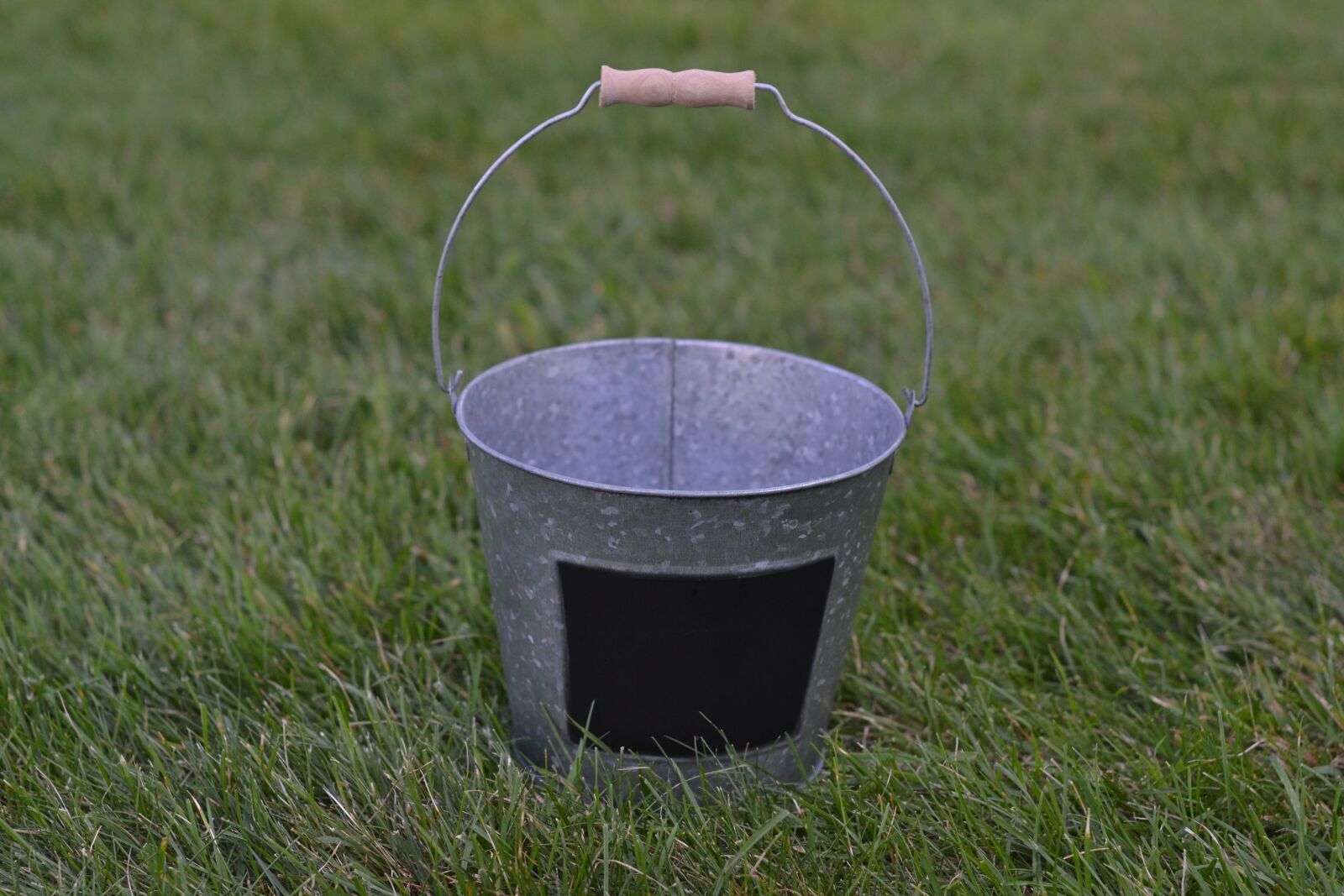 Nikon D3100 sample photo. Silver bucket, grass, bucket photography