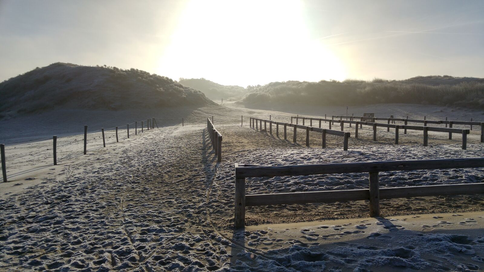 LG G4 sample photo. Dunes, winter, south holland photography