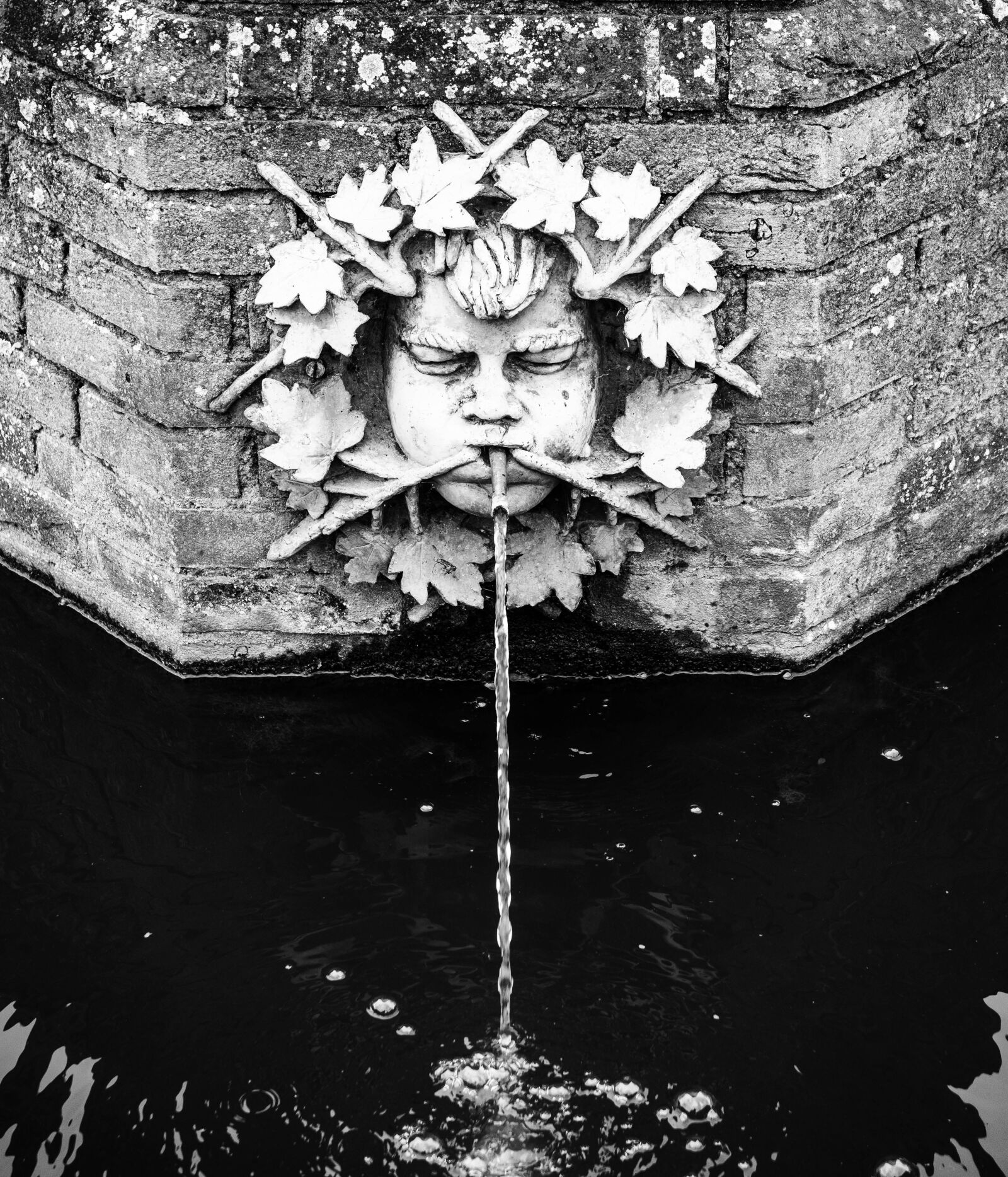Nikon D7200 sample photo. Gargoyle, cressingtemple, blackandwhite photography