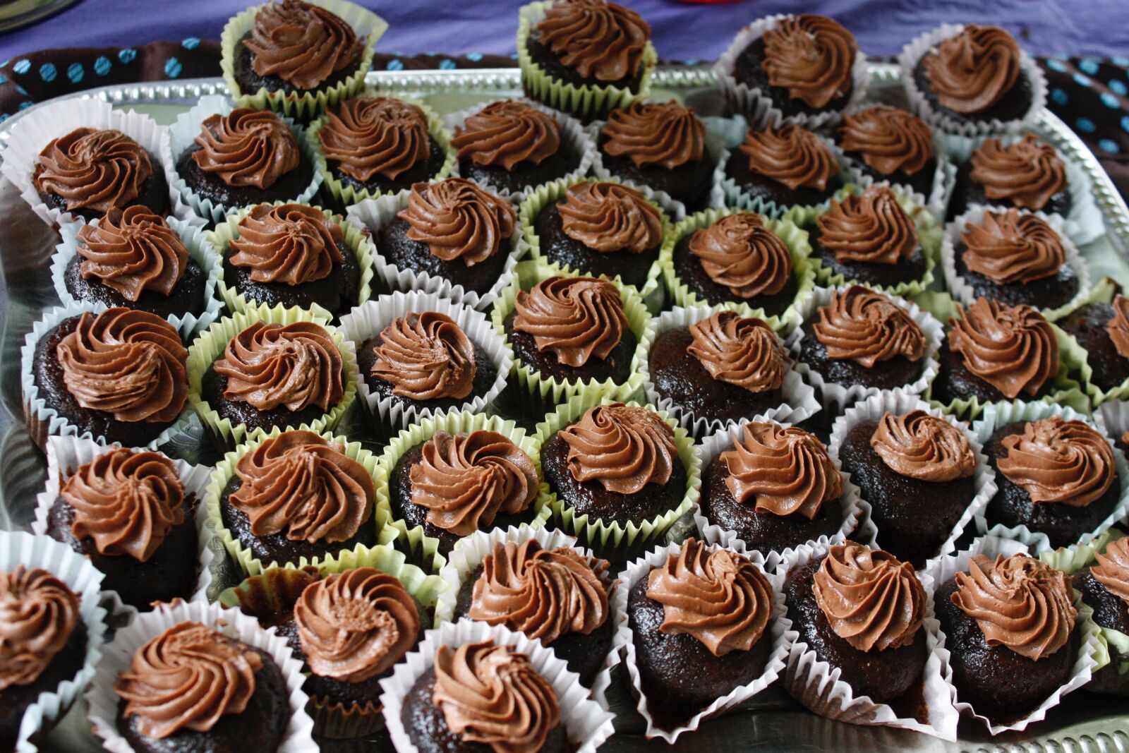 Canon EOS 450D (EOS Rebel XSi / EOS Kiss X2) sample photo. Cupcakes, chocolate, frosting photography