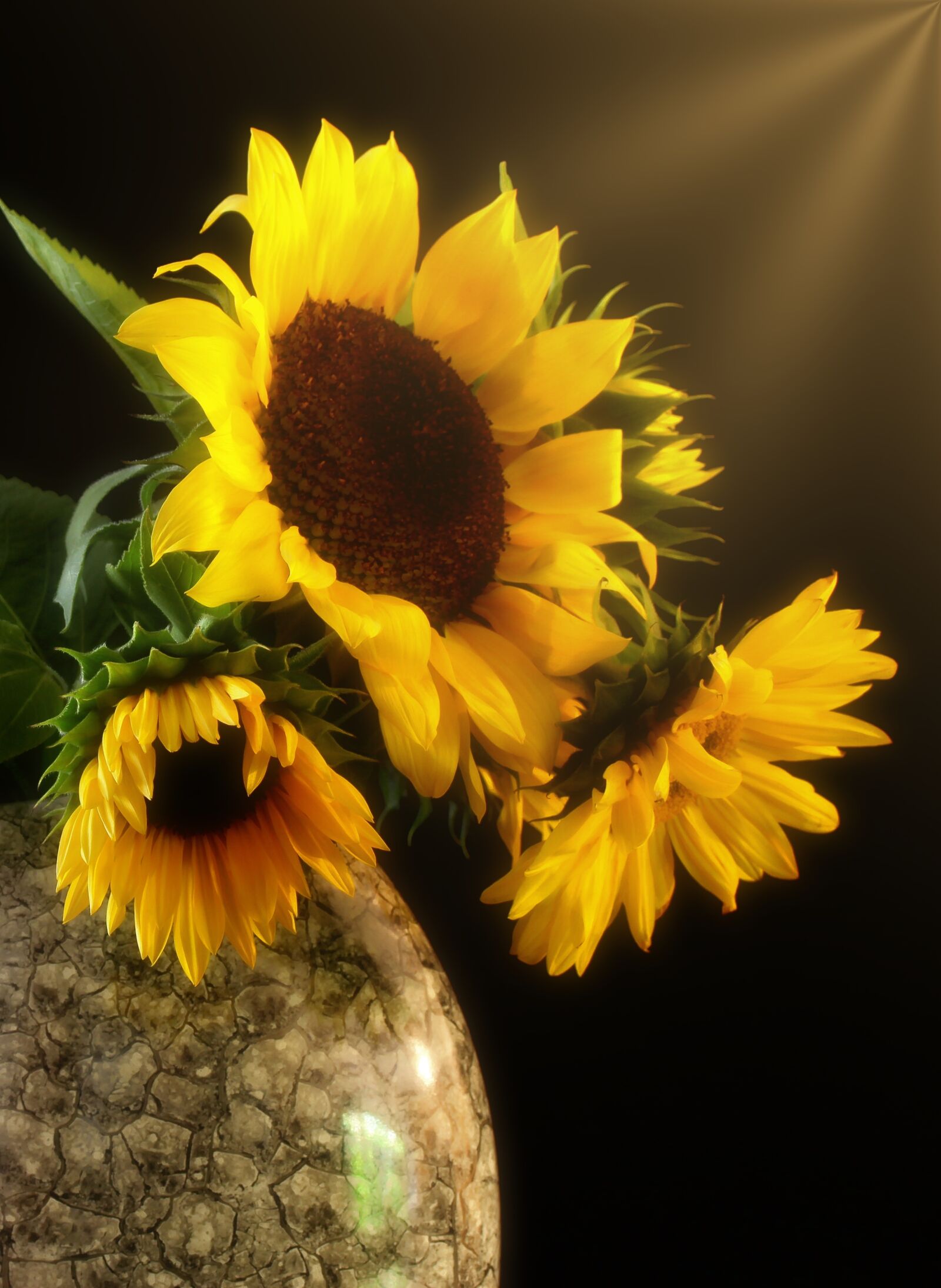 Canon EOS 1300D (EOS Rebel T6 / EOS Kiss X80) sample photo. Sunflower, bouquet, flowers photography