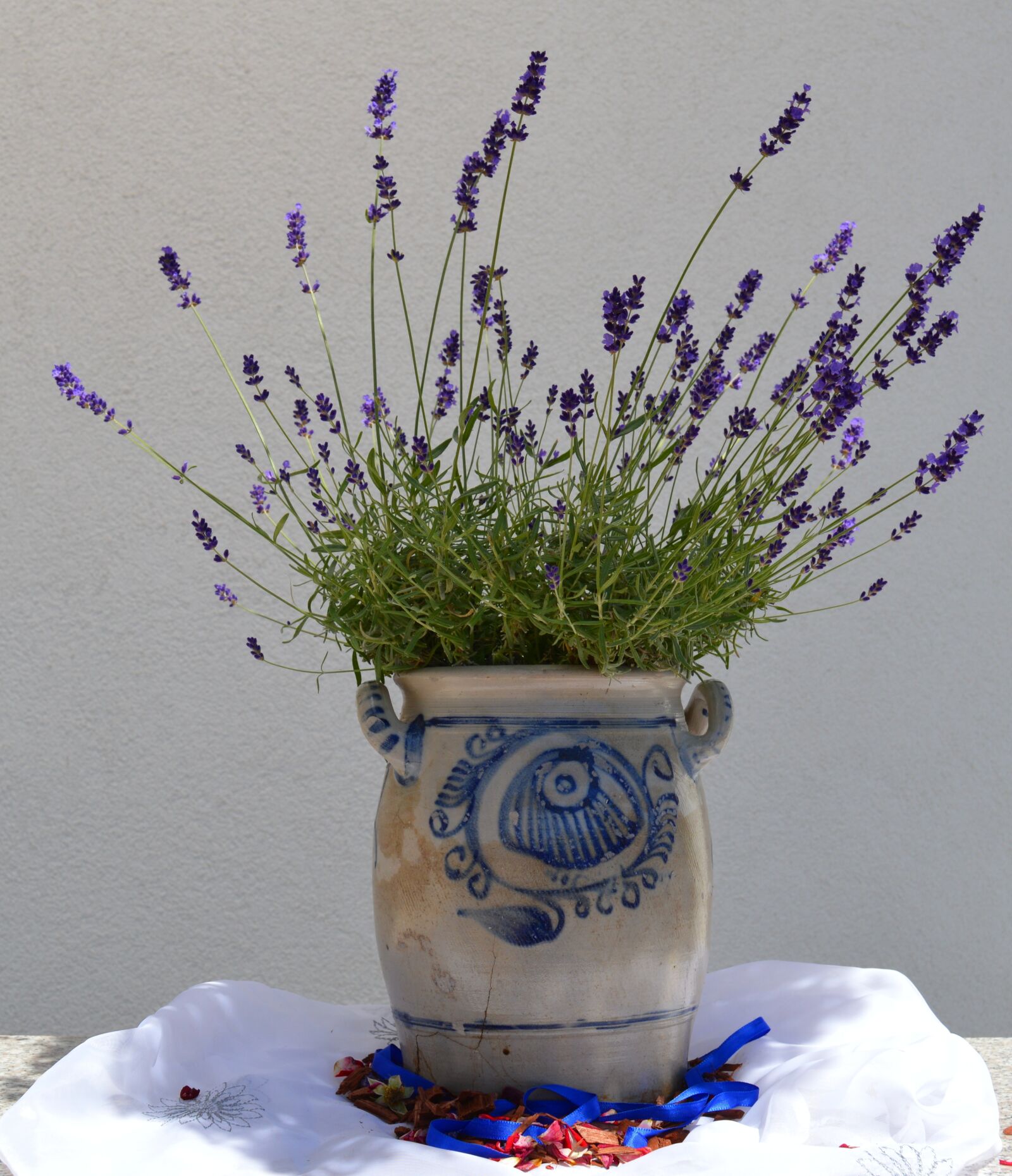 Nikon D3200 sample photo. Earthenware, ceramic, pot photography
