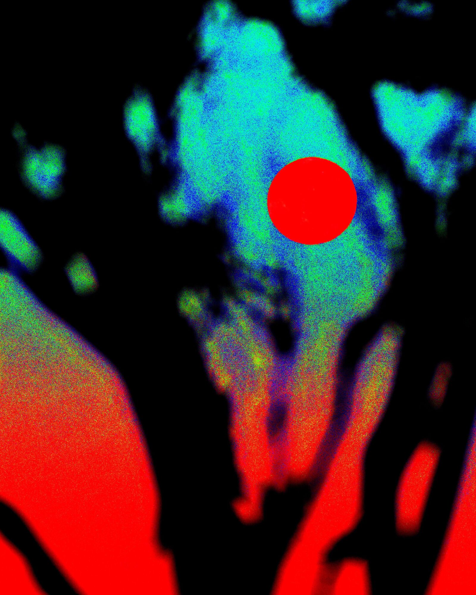 Nikon D750 sample photo. Harvest moon, art photo photography