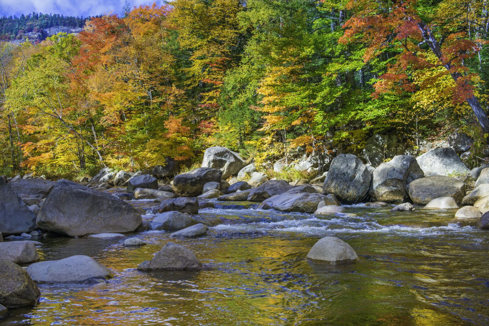 Nikon D800 sample photo. Nature, fall, autumn photography