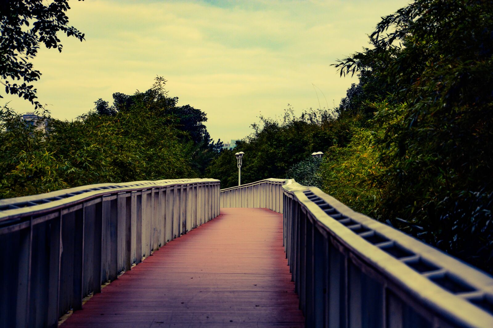Nikon D7100 sample photo. Bridge, woods, plant photography
