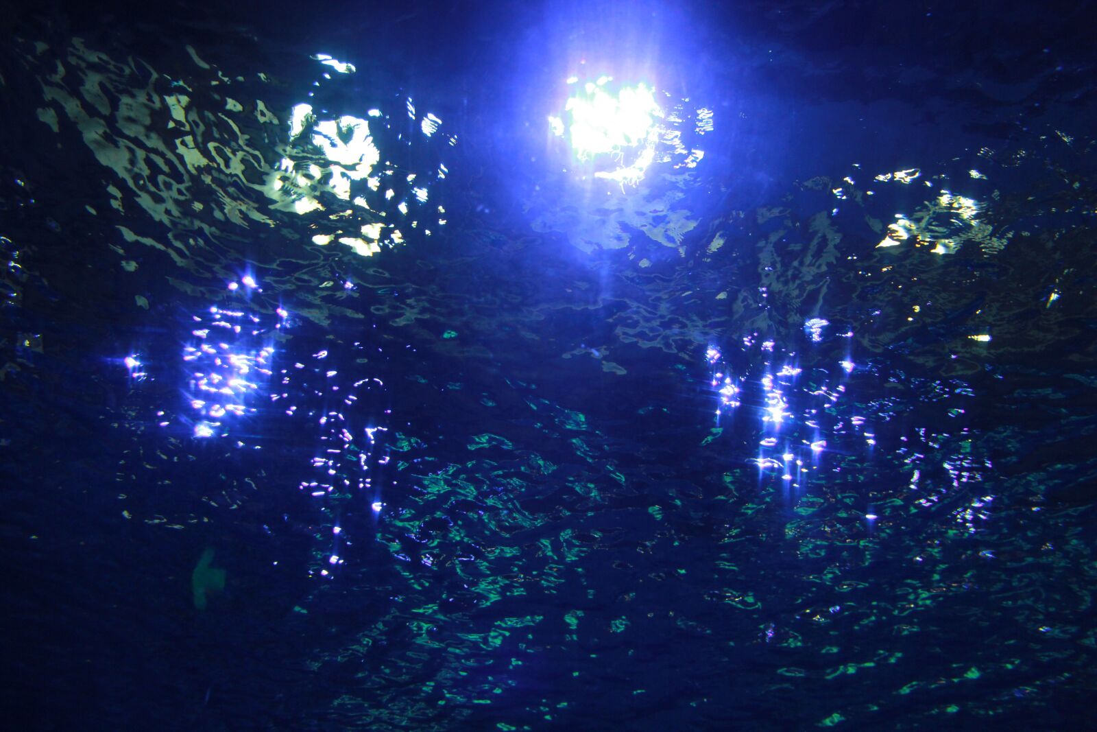 Canon EOS 60D sample photo. Marine aquarium, water, light photography