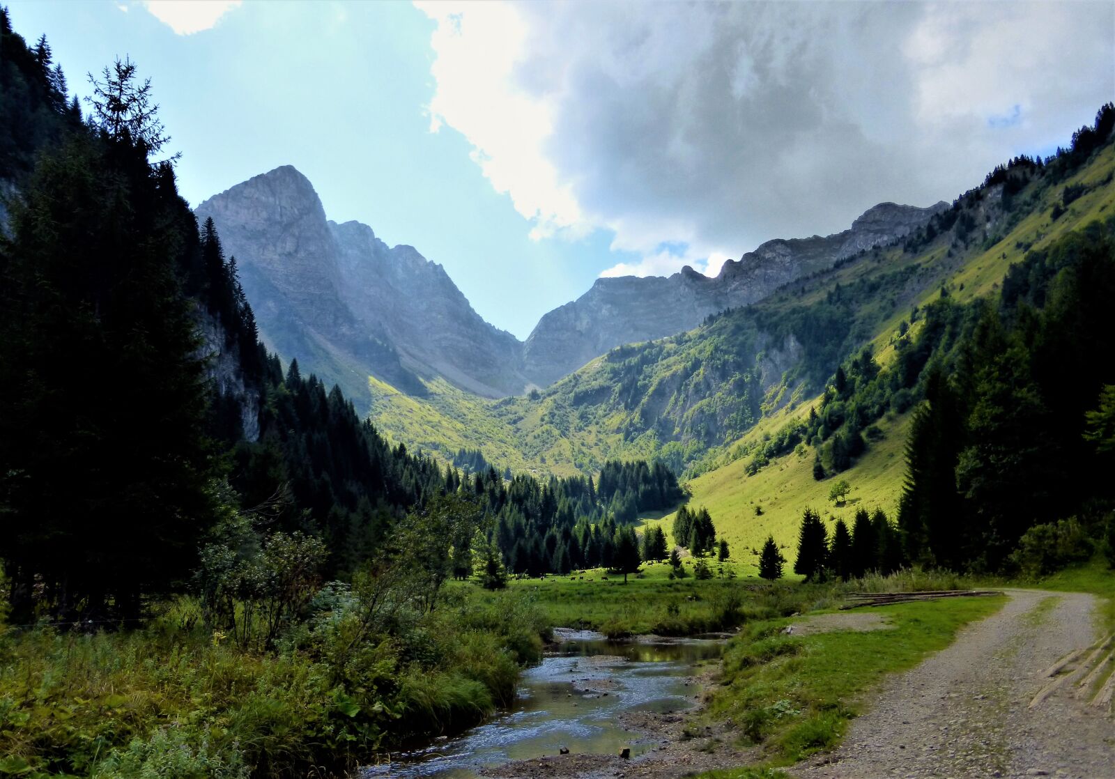 Panasonic Lumix DMC-ZS25 (Lumix DMC-TZ35) sample photo. Nature, france, alps photography
