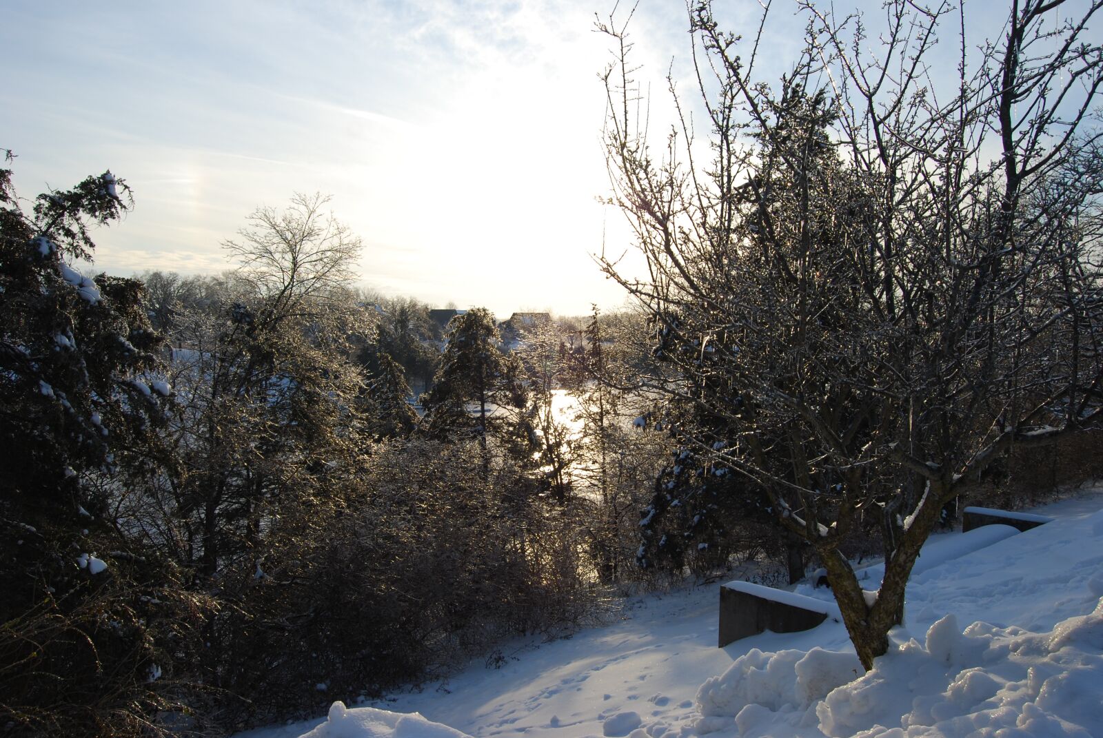 Nikon D40X sample photo. Winter, landscape, sunny photography