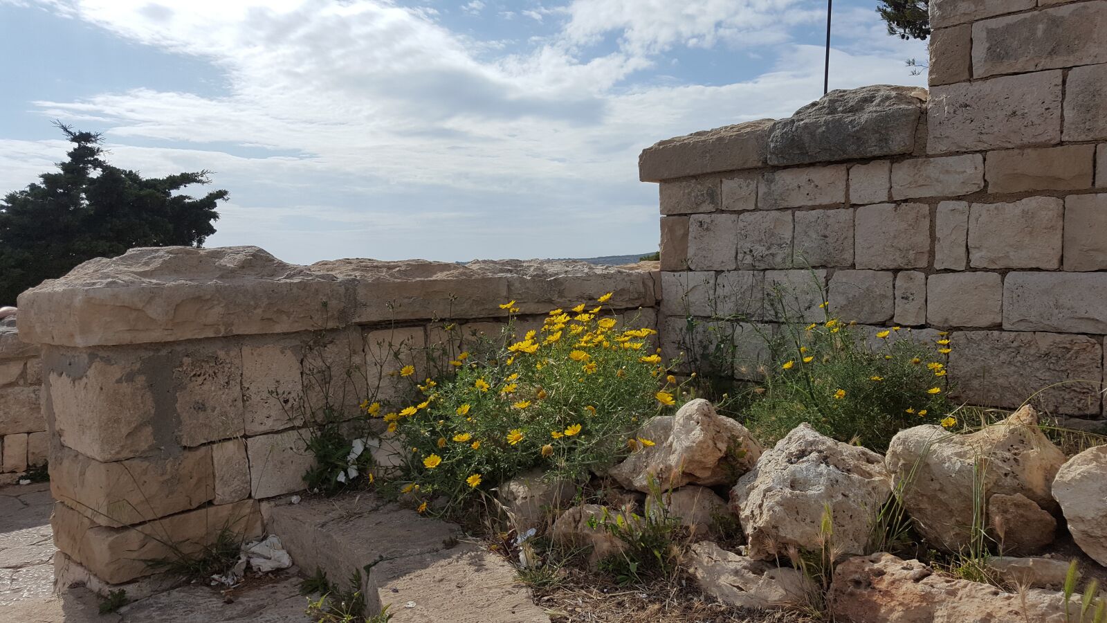 Samsung Galaxy S6 sample photo. Ruin, yellow, flowers photography