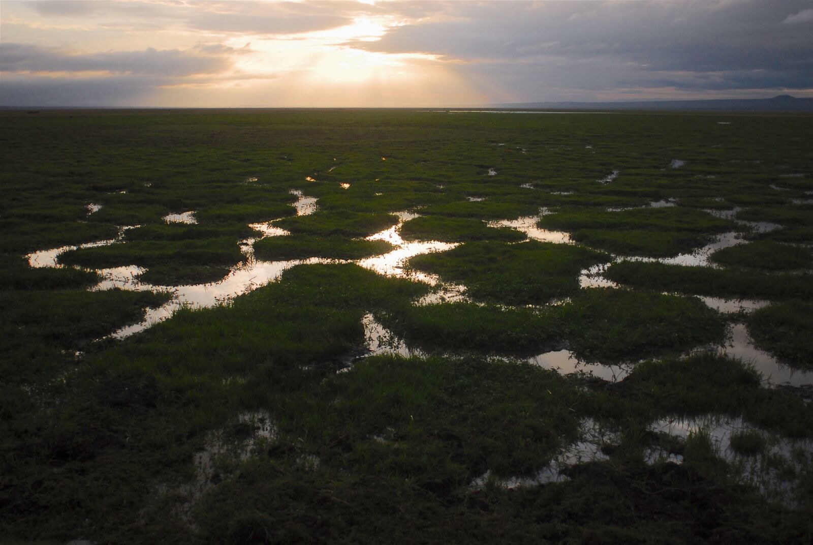 Nikon D200 sample photo. Earth hour, reflection, marsh photography