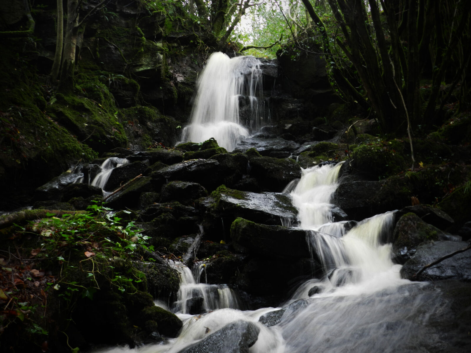 Nikon Coolpix P500 sample photo. Green, mossy, rocks, waterfall photography