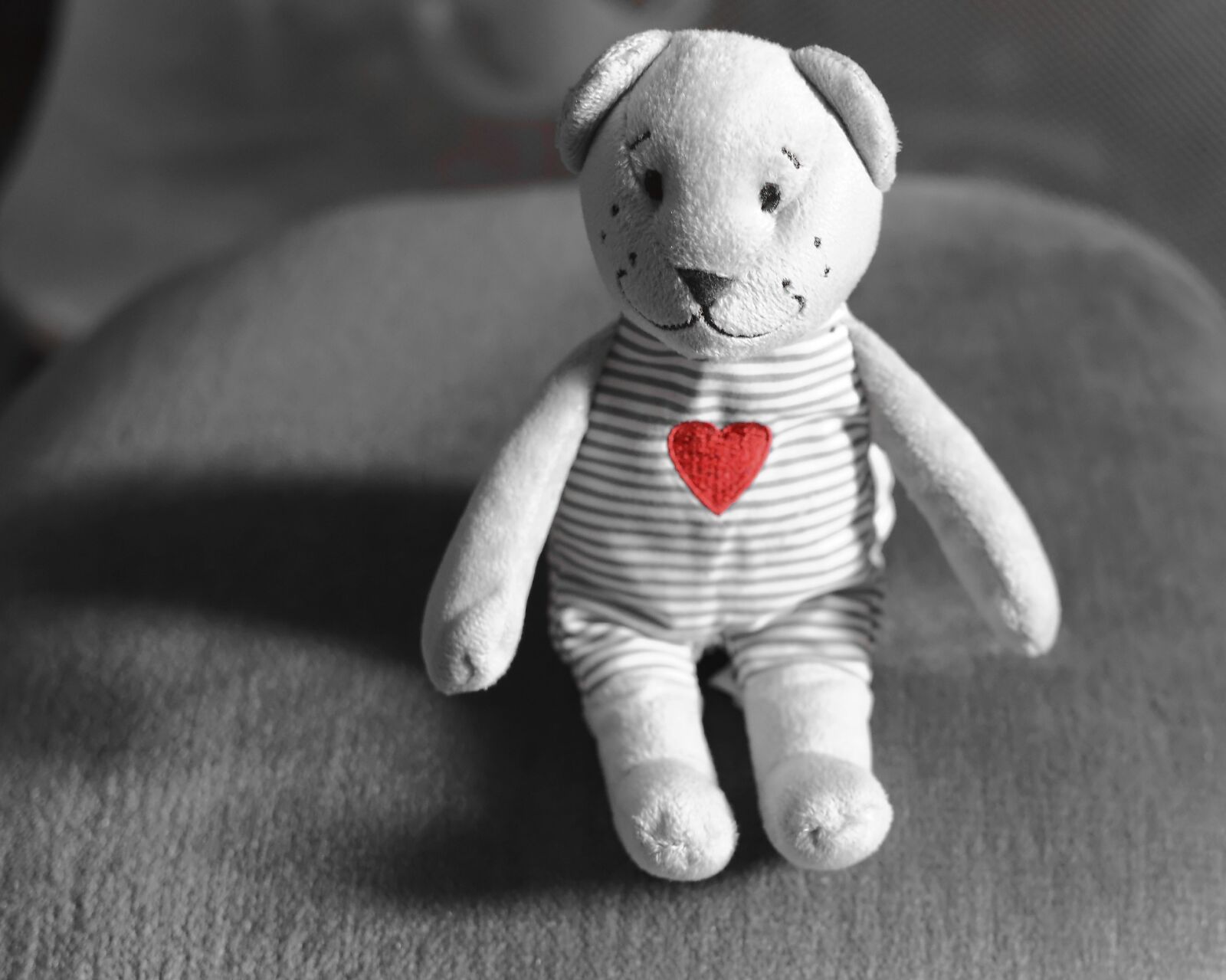 Nikon D5100 sample photo. Toy, child, bear photography
