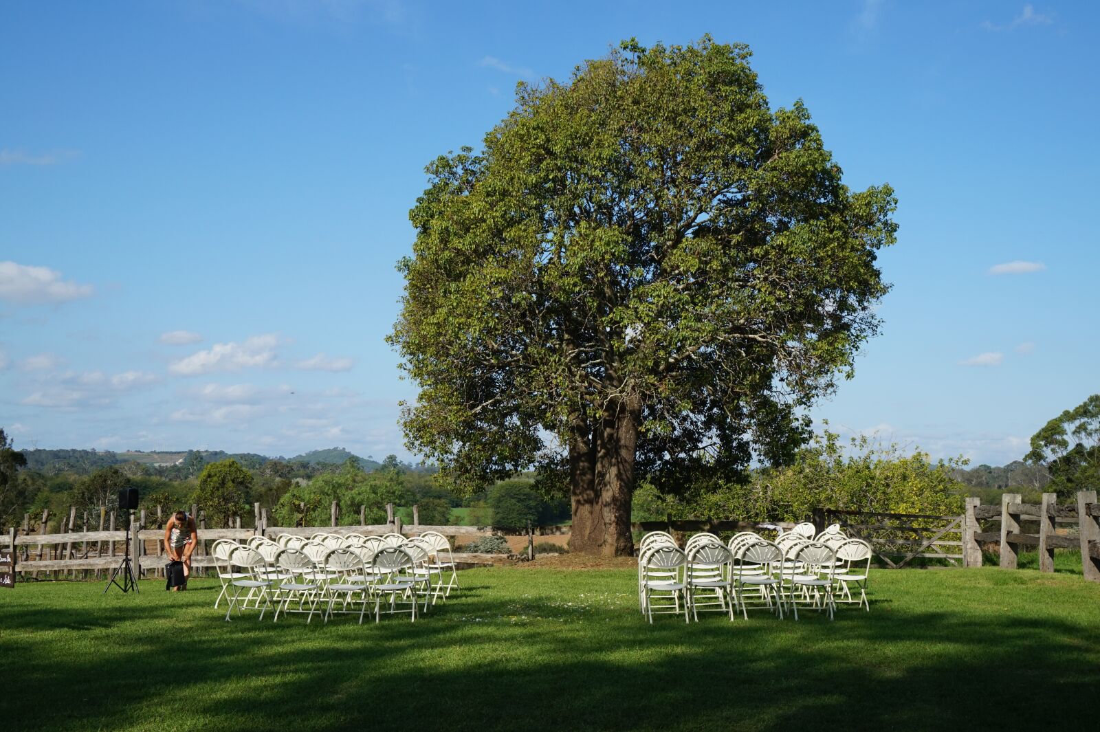 Sony Alpha a5000 (ILCE 5000) sample photo. Tree, wedding, outdoor setting photography