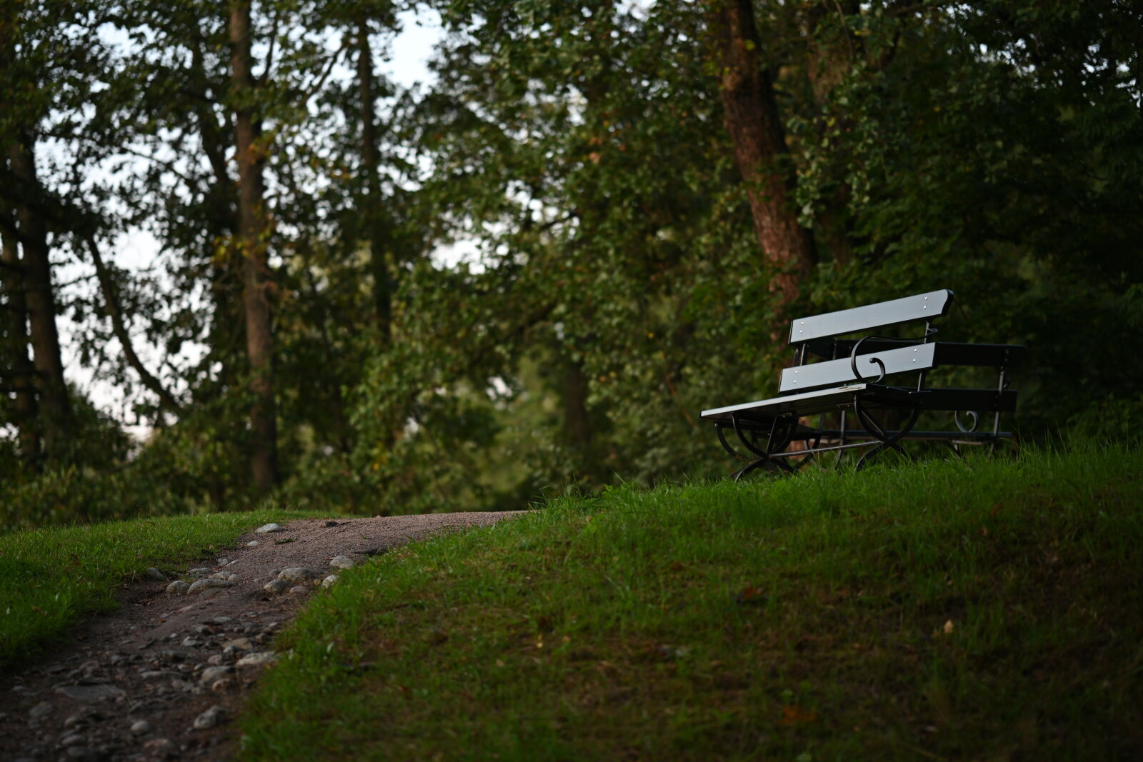 Nikon Z7 sample photo. Benches on the hill photography