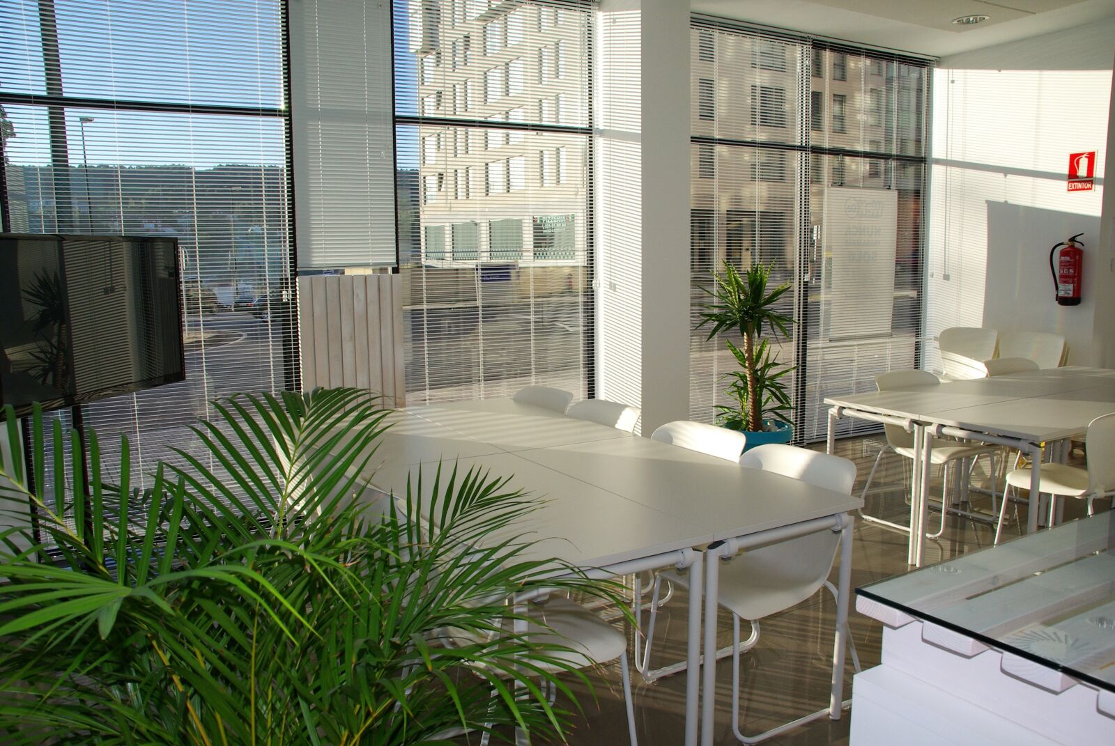 Pentax K10D sample photo. Office space, office, sunny photography