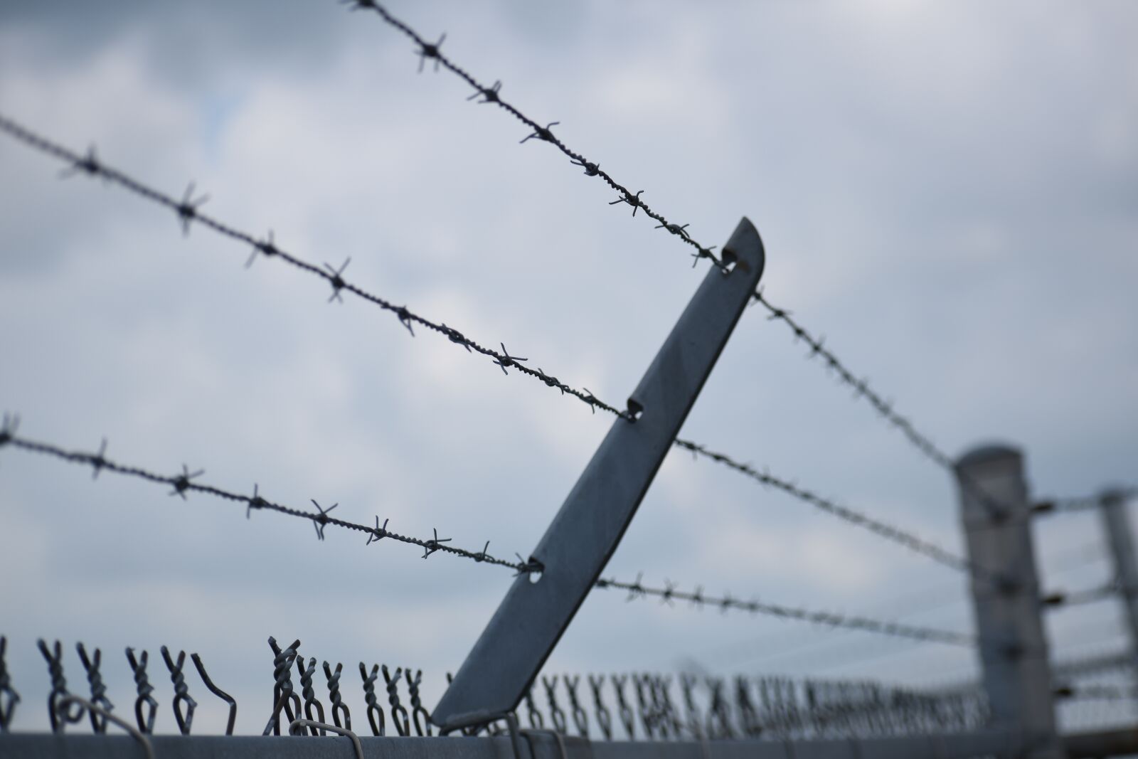 Nikon D5500 sample photo. Barb wire, barbed wire photography