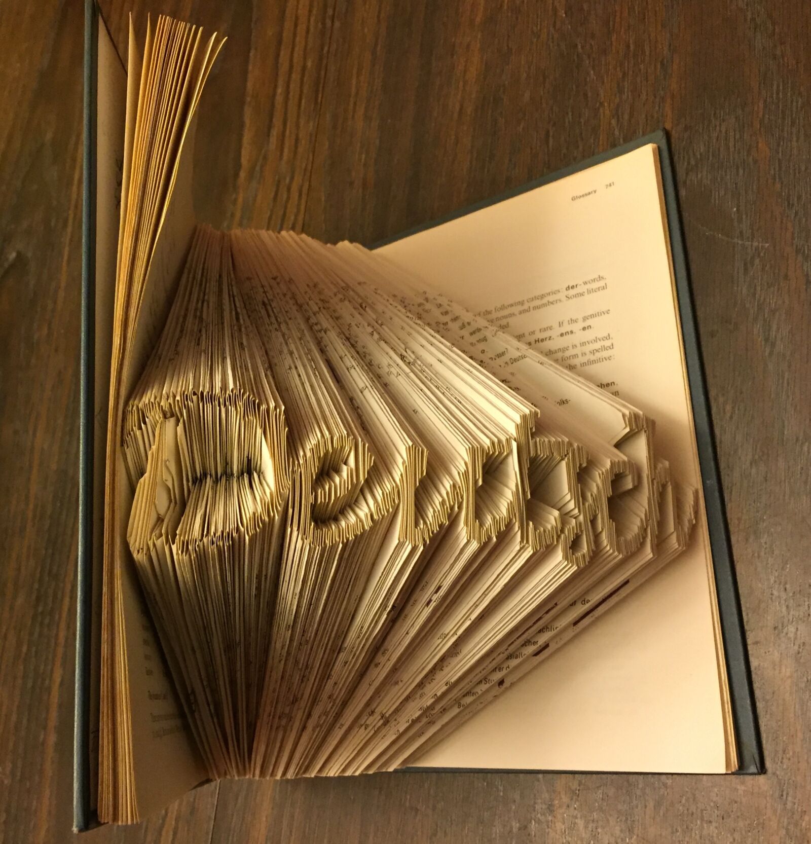 Apple iPhone 6 sample photo. Lettering, book, folding photography