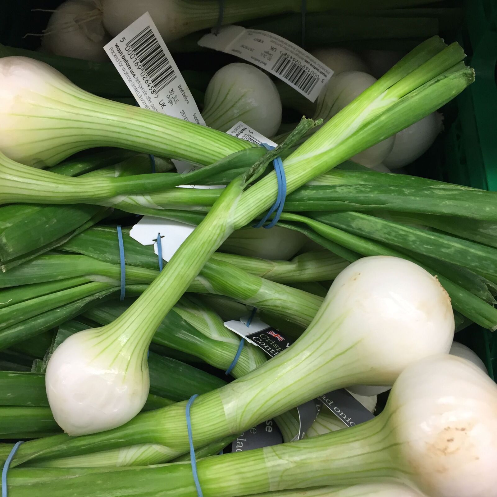 Apple iPhone 6 sample photo. Spring, onions photography