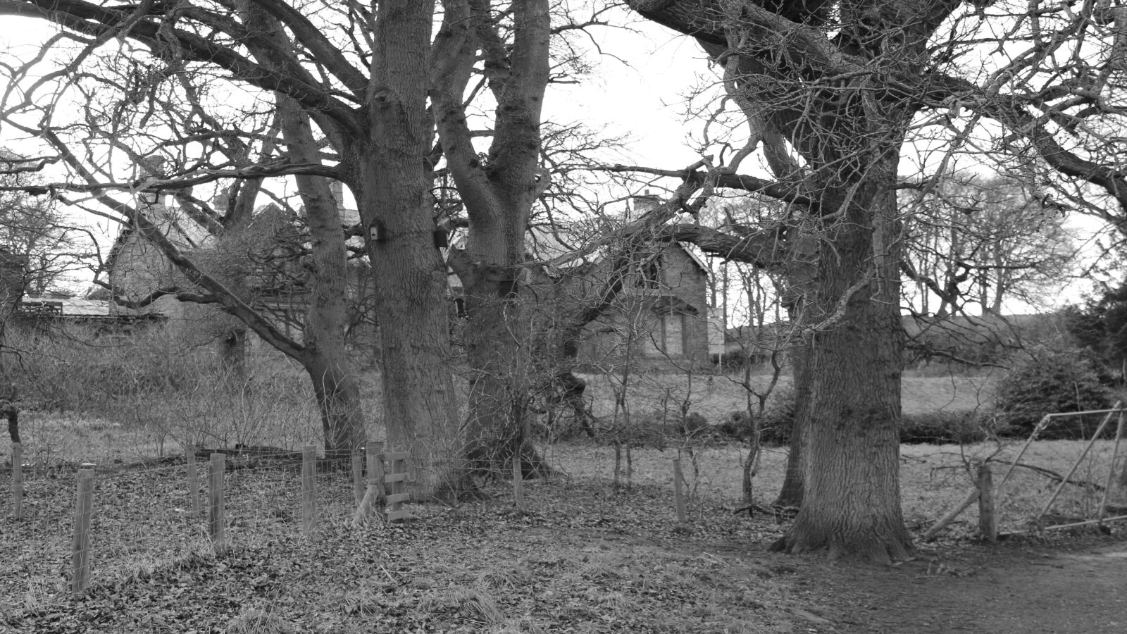 Canon EOS 600D (Rebel EOS T3i / EOS Kiss X5) sample photo. Talkin, tarn, cumbria photography
