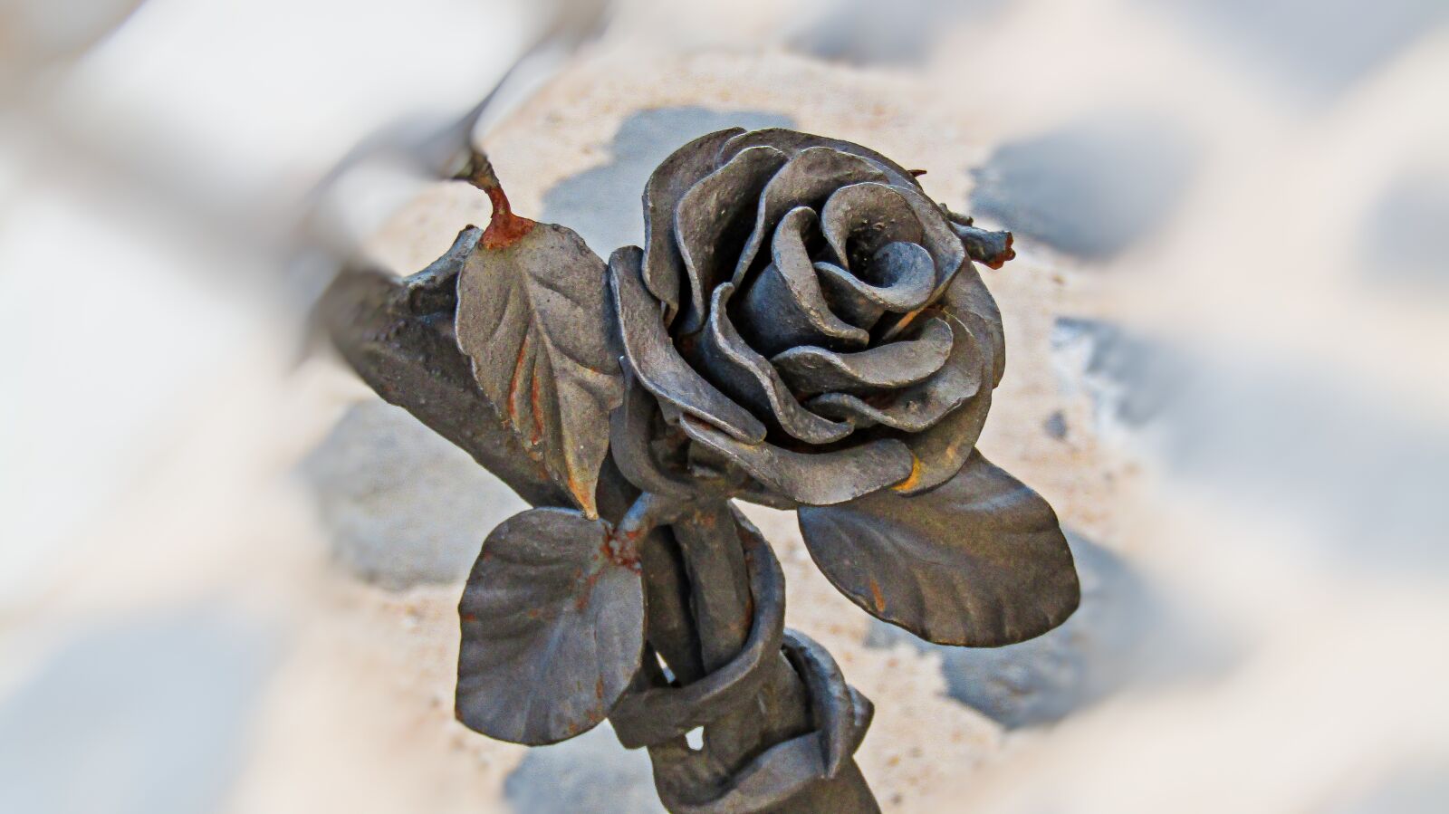 Canon PowerShot SX410 IS sample photo. Art, iron, trim photography