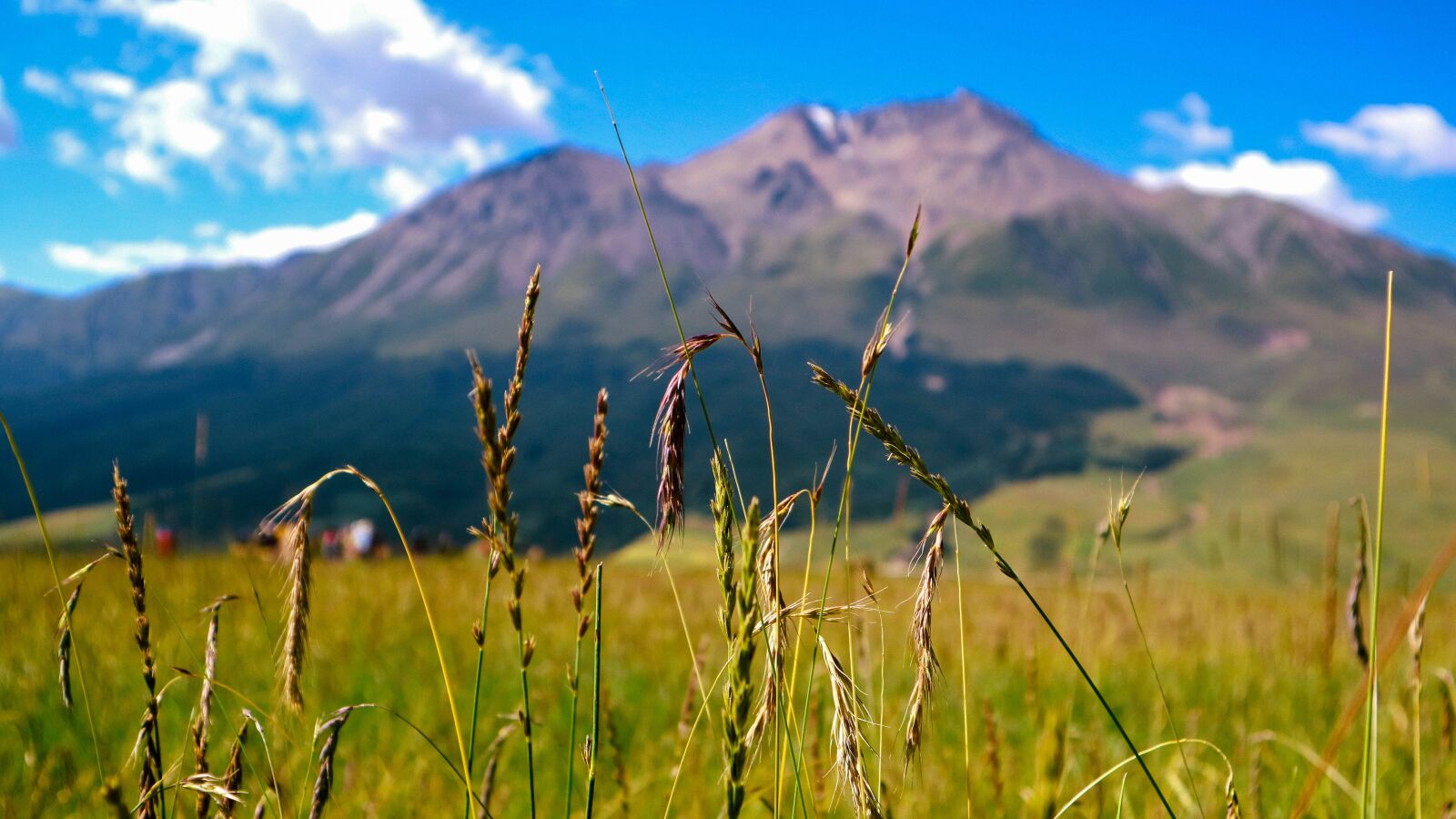 Canon EOS M3 sample photo. Grass, distant hills, snow photography
