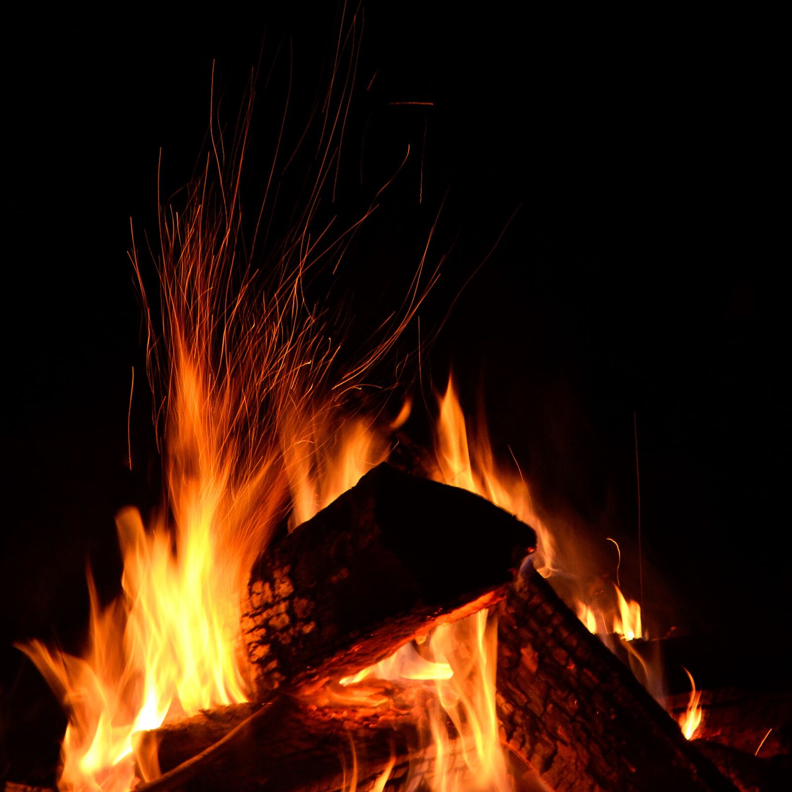 Nikon D3100 sample photo. Campfire, fire, bonfire photography