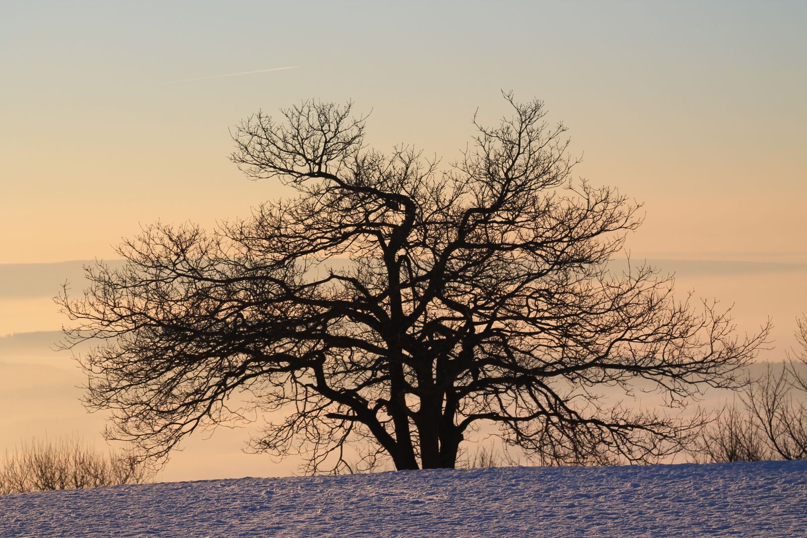 Canon EF75-300mm f/4-5.6 sample photo. Tree, landscape, nature photography