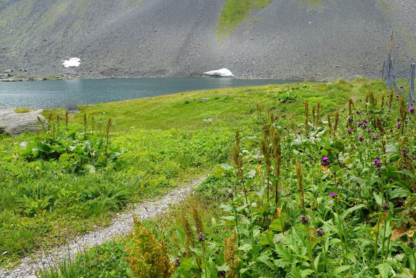 Sony ILCA-77M2 + Sony DT 16-50mm F2.8 SSM sample photo. Flüelapass, pass, switzerland photography