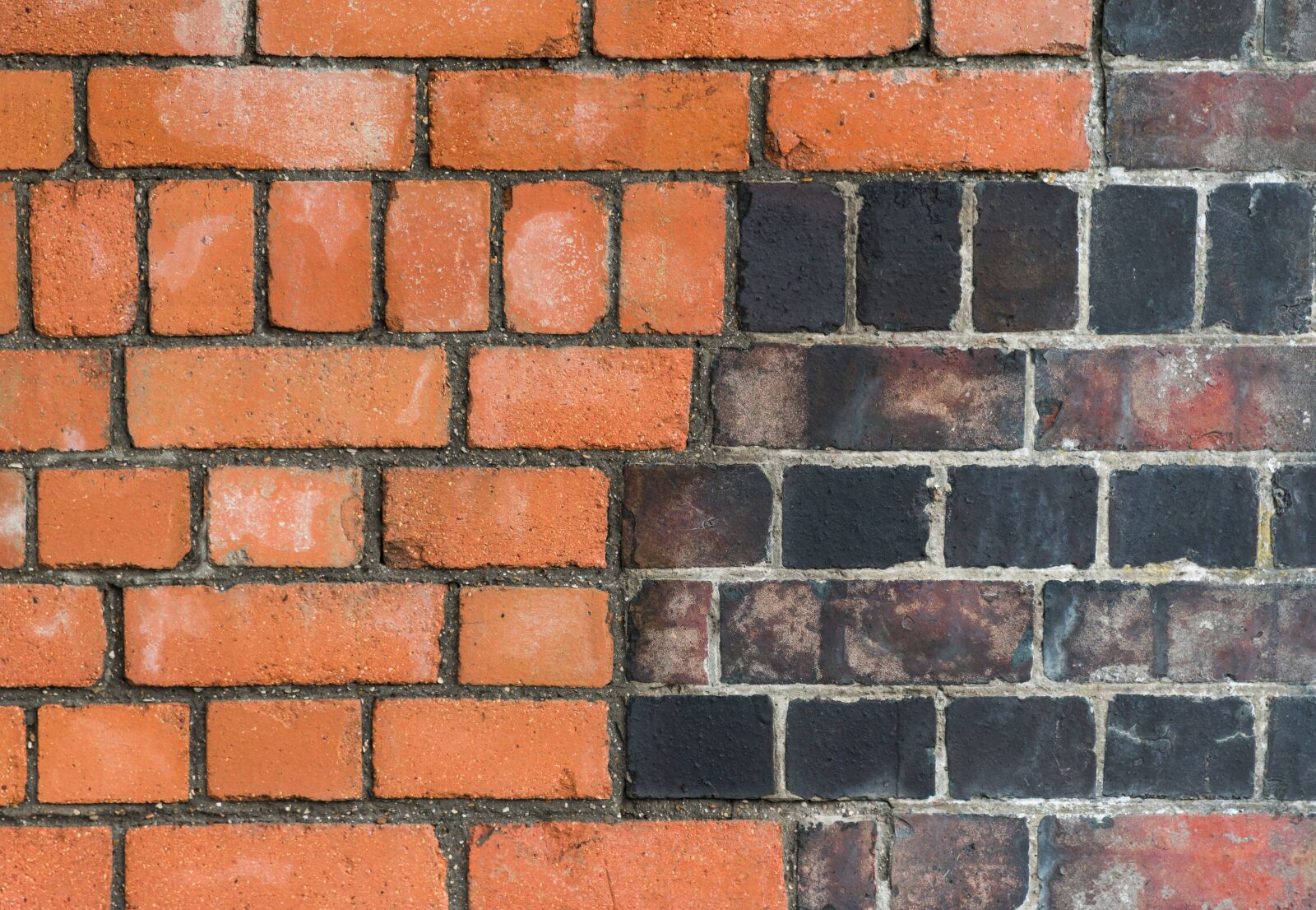 Nikon D810 sample photo. Bricks, background, wall photography