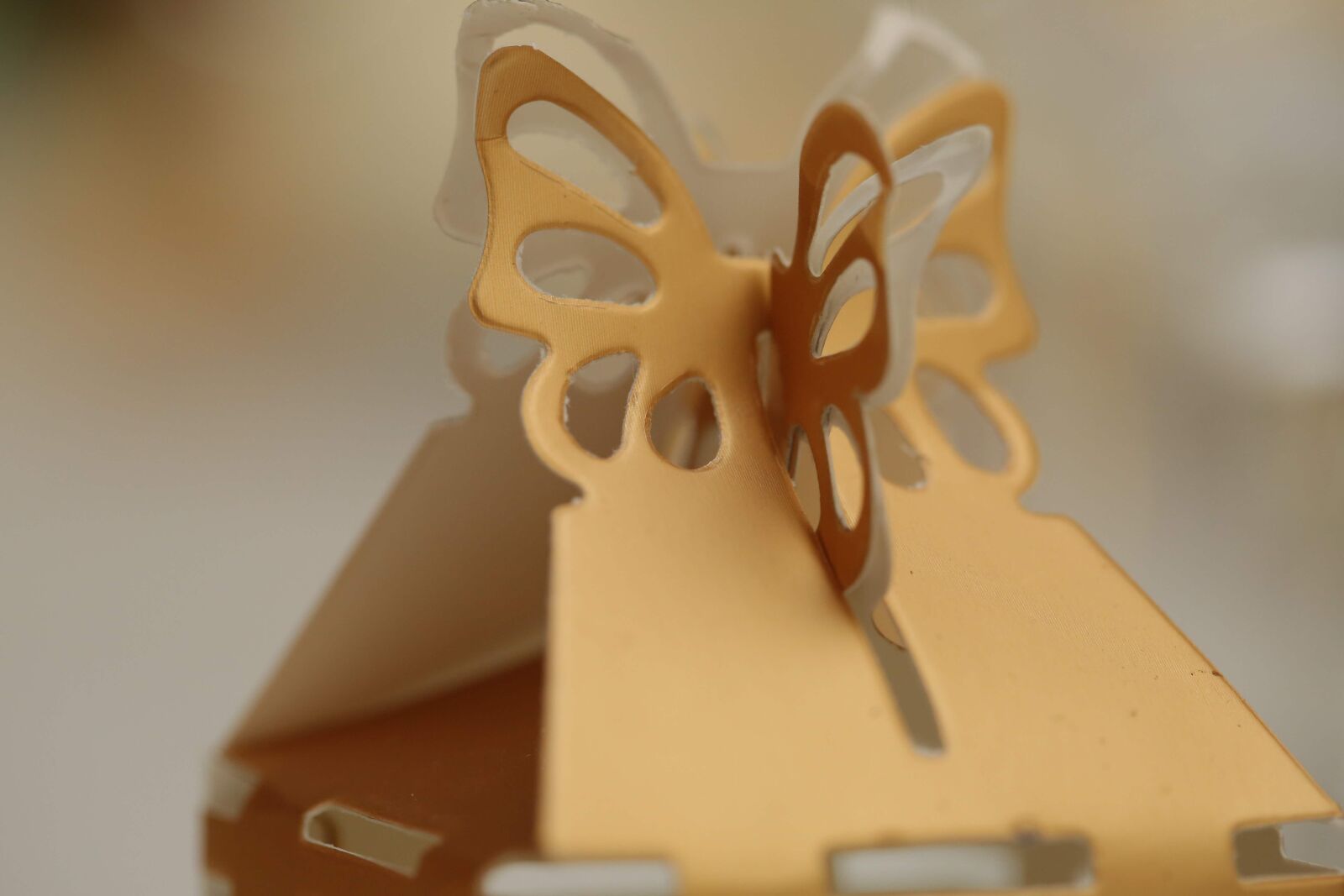 Canon EF 100mm F2.8 Macro USM sample photo. Blur, box, carton, close-up photography