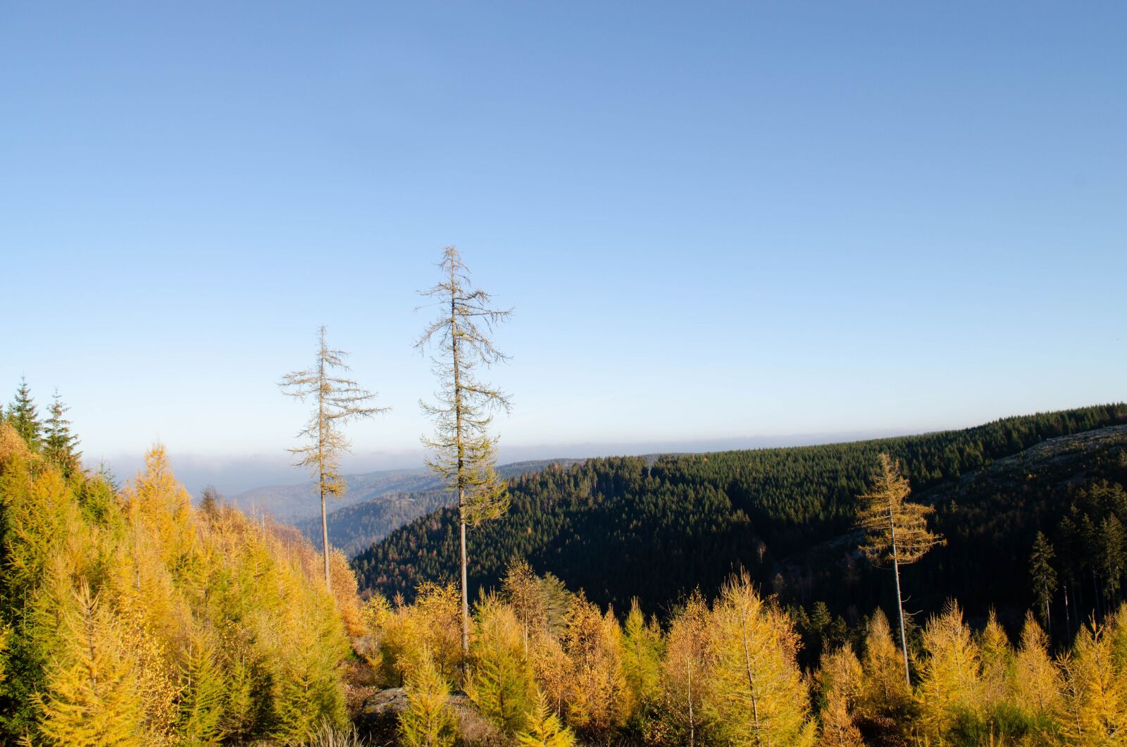 Nikon D5100 sample photo. Resin, autumn, landscape photography