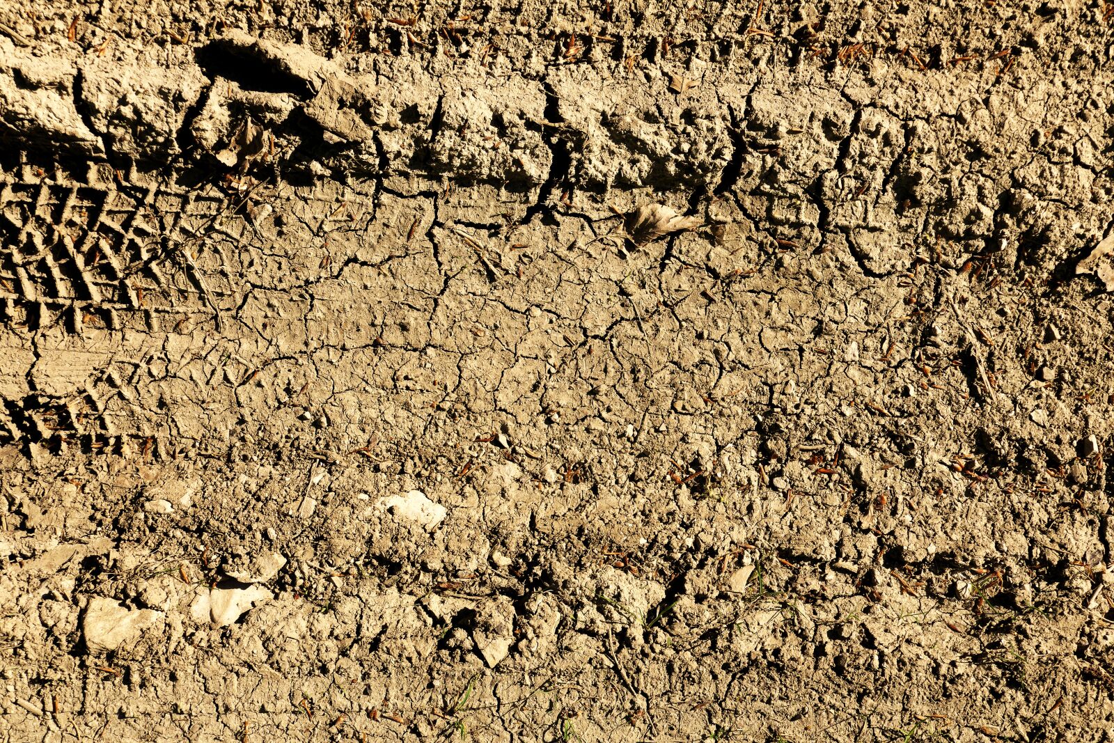 Panasonic Lumix DMC-FZ1000 sample photo. Lane, earth, dry photography
