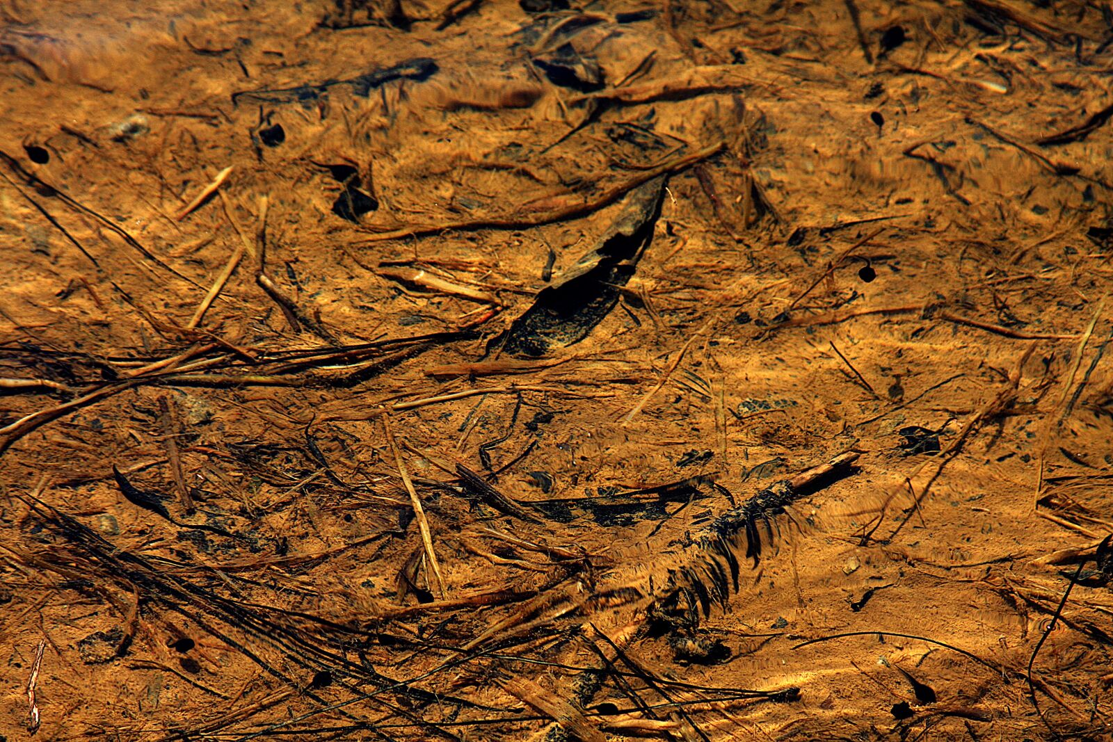 Canon EOS 40D sample photo. Water, abstract, gerino photography