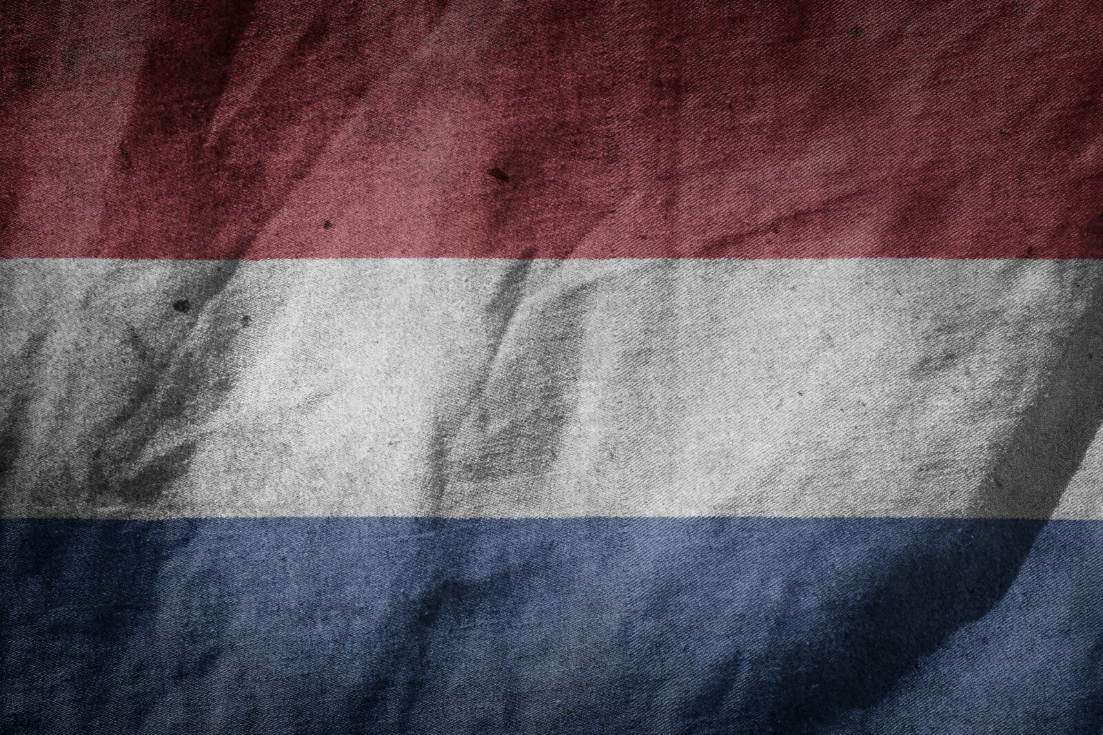 Nikon D3100 sample photo. Flag, netherlands, holland photography