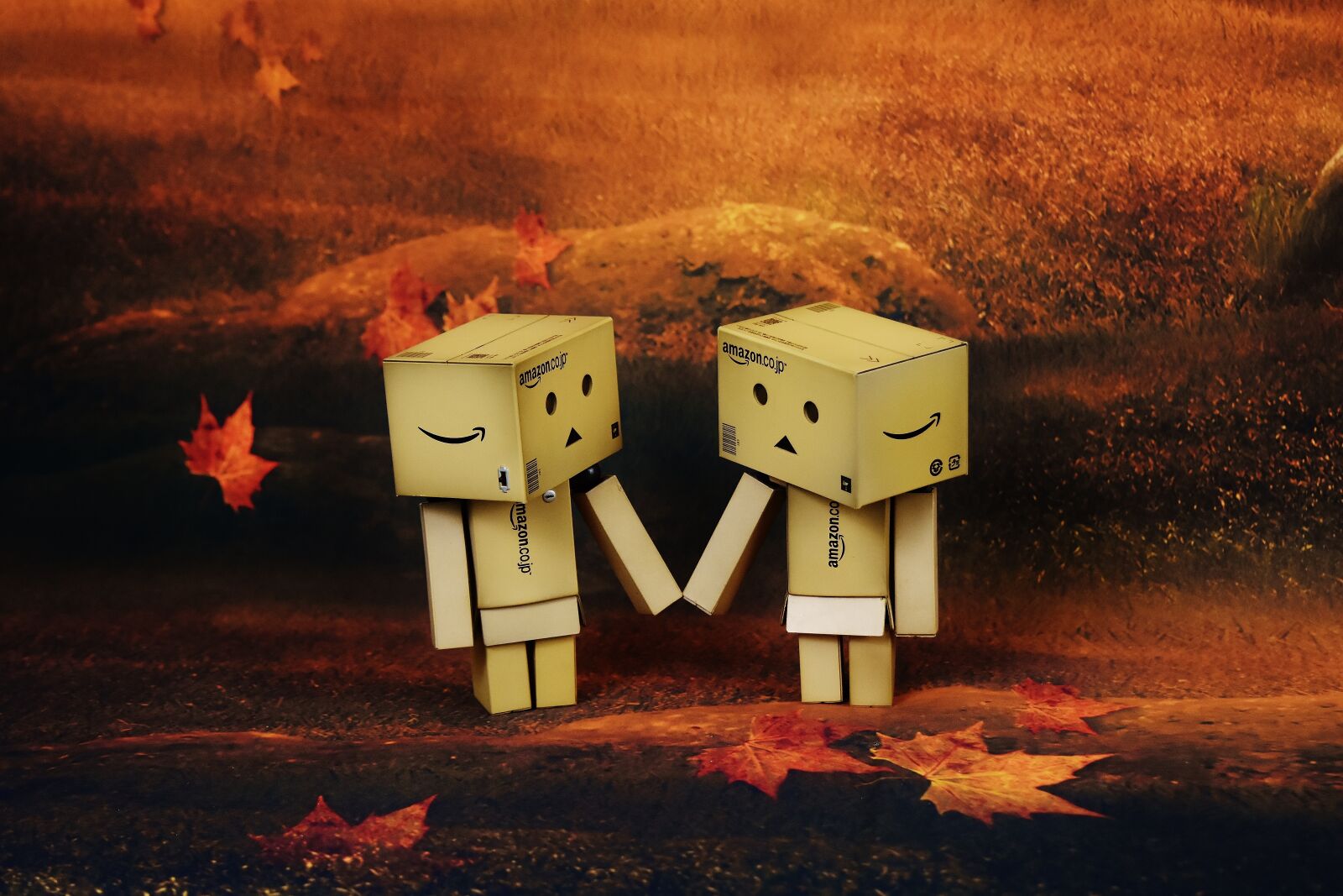 Nikon D7200 sample photo. Danbo, love, romantic photography