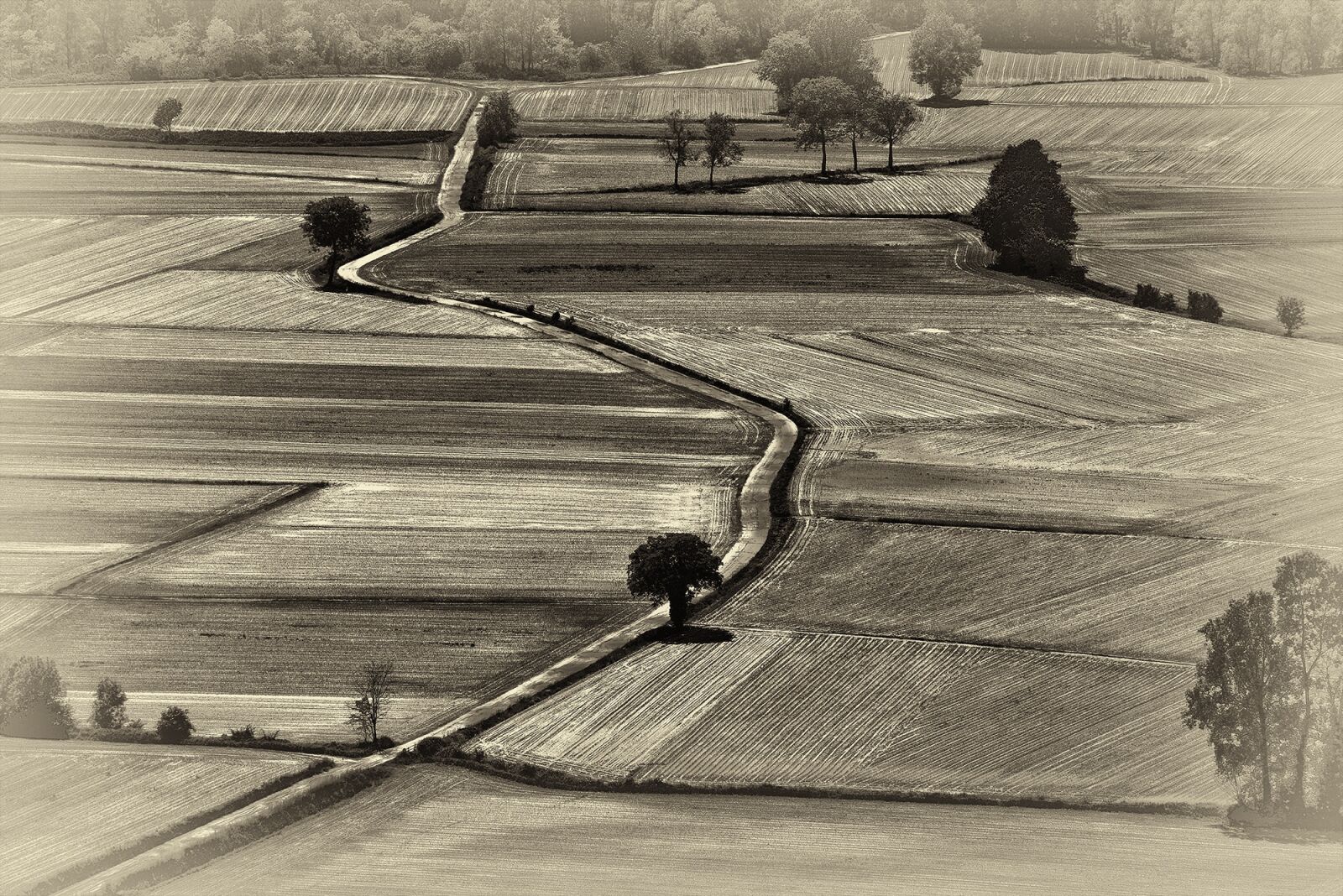 Nikon D800 sample photo. Campaign, ancient, lines photography