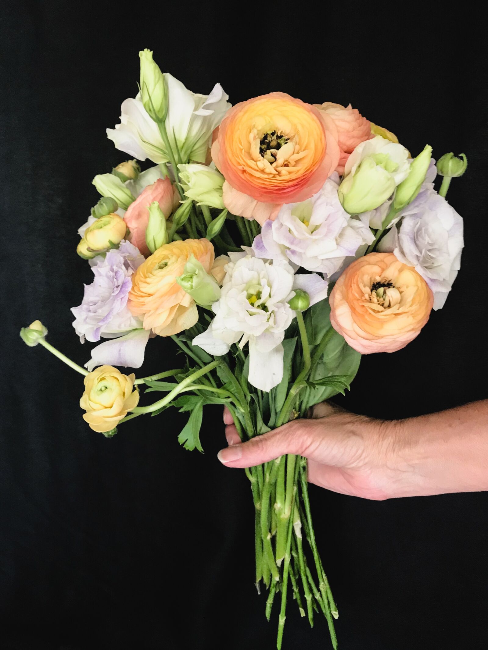 Apple iPhone 7 sample photo. Bouquet, flowers, bunch photography