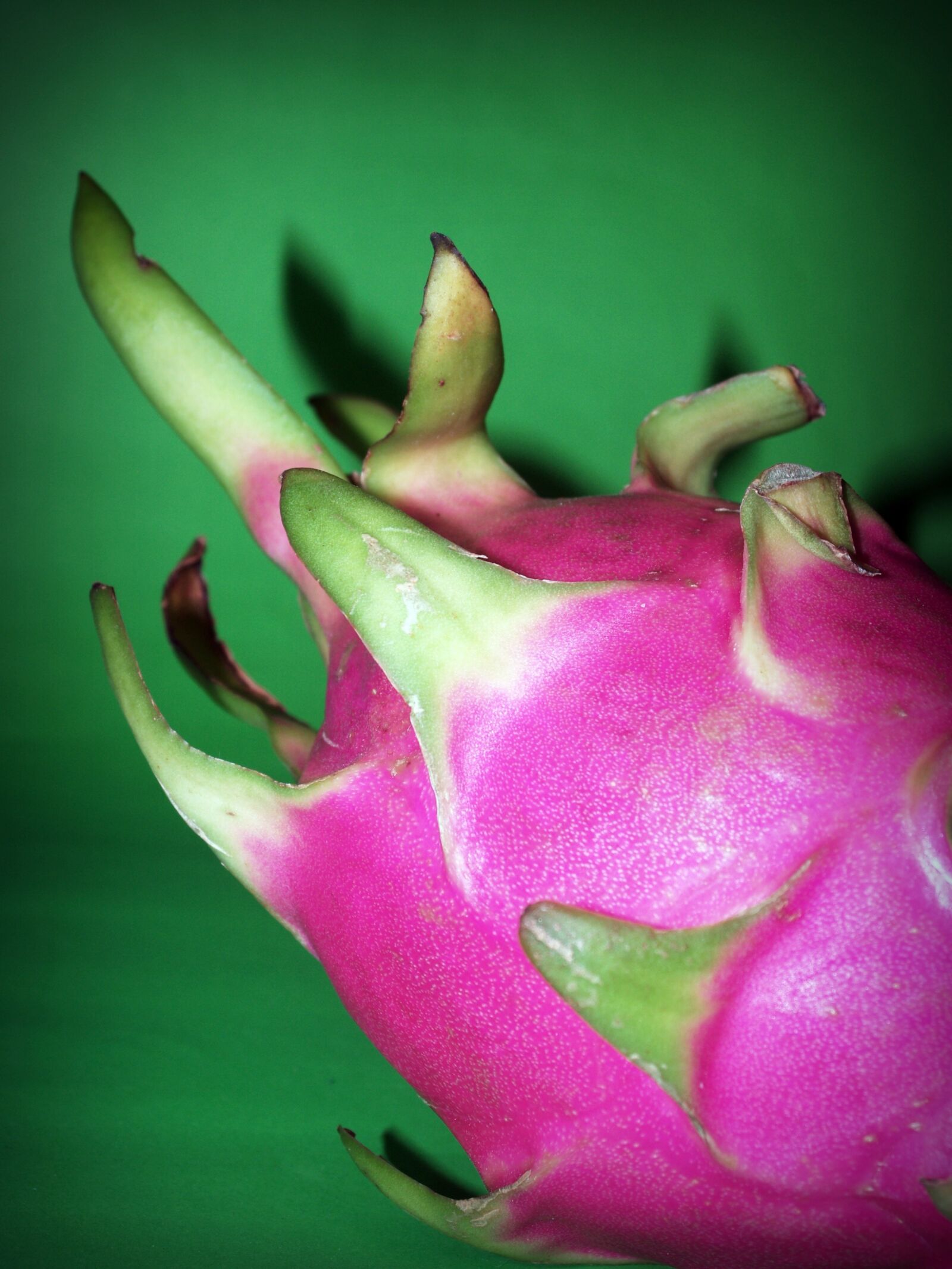 Olympus E-300 (EVOLT E-300) sample photo. Fruit, dragon, closeup photography