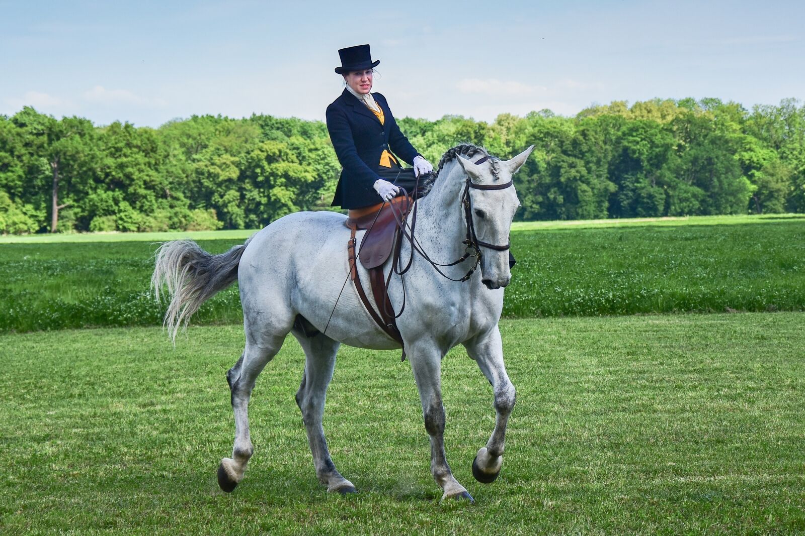 Nikon D5500 sample photo. The white horse, lady photography