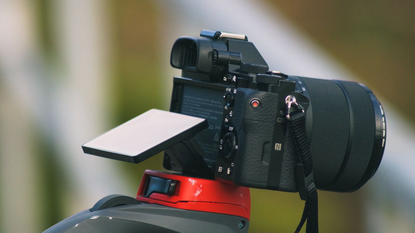 Sony SLT-A58 sample photo. Sony a7, camera, body photography