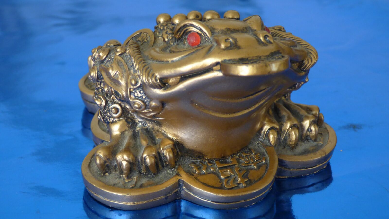 Panasonic DMC-FZ72 sample photo. Decor, frog, money photography