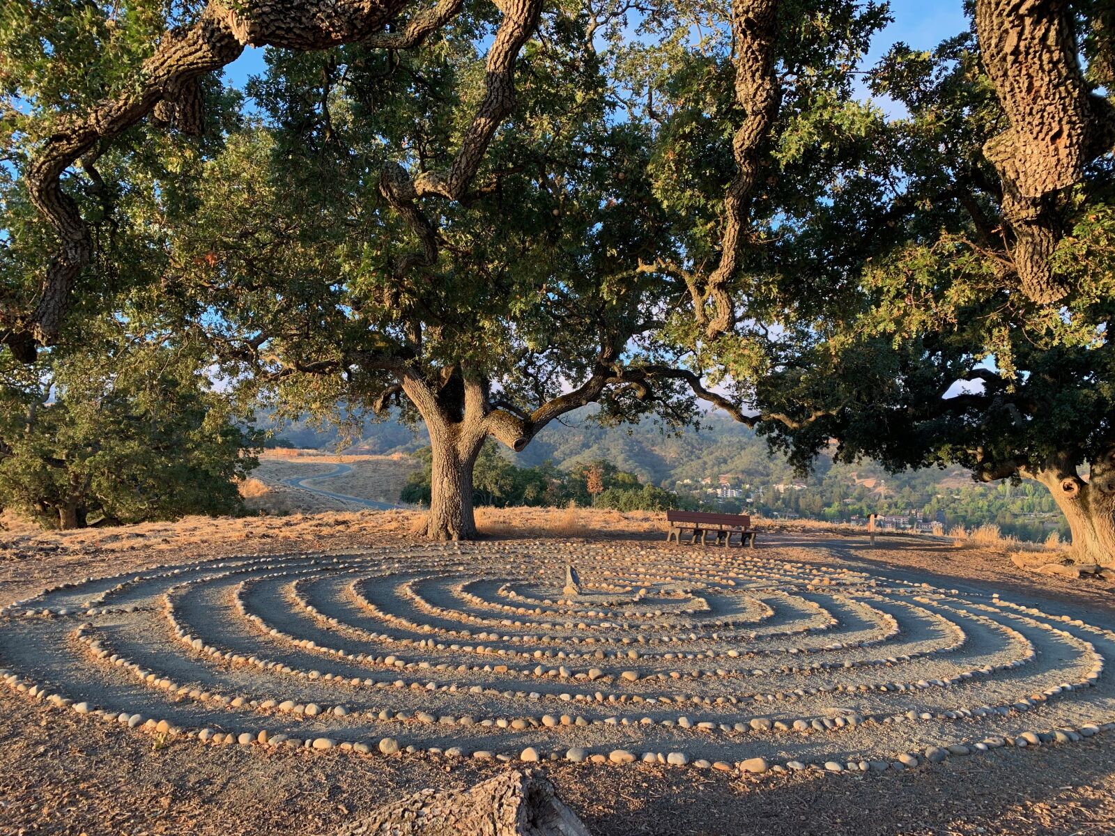 iPhone XR back camera 4.25mm f/1.8 sample photo. Labyrinth, trees, landscape photography