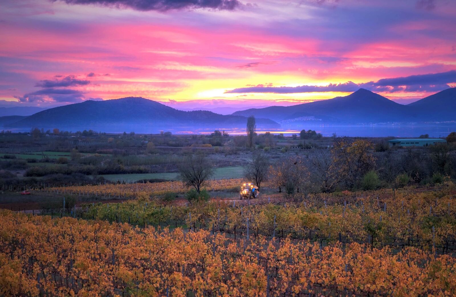 Tamron SP 24-70mm F2.8 Di VC USD sample photo. Sunset, vineyard, landscape photography