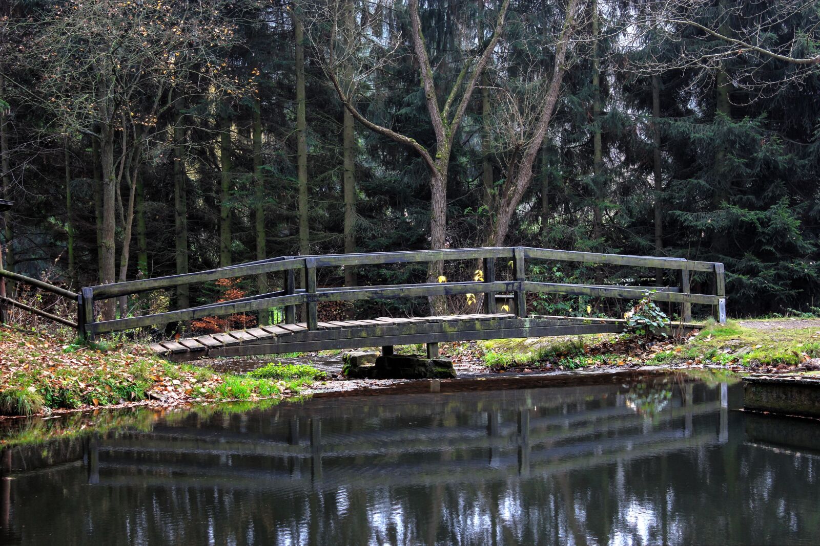 Canon EOS 550D (EOS Rebel T2i / EOS Kiss X4) sample photo. Bridge, water, mirroring photography