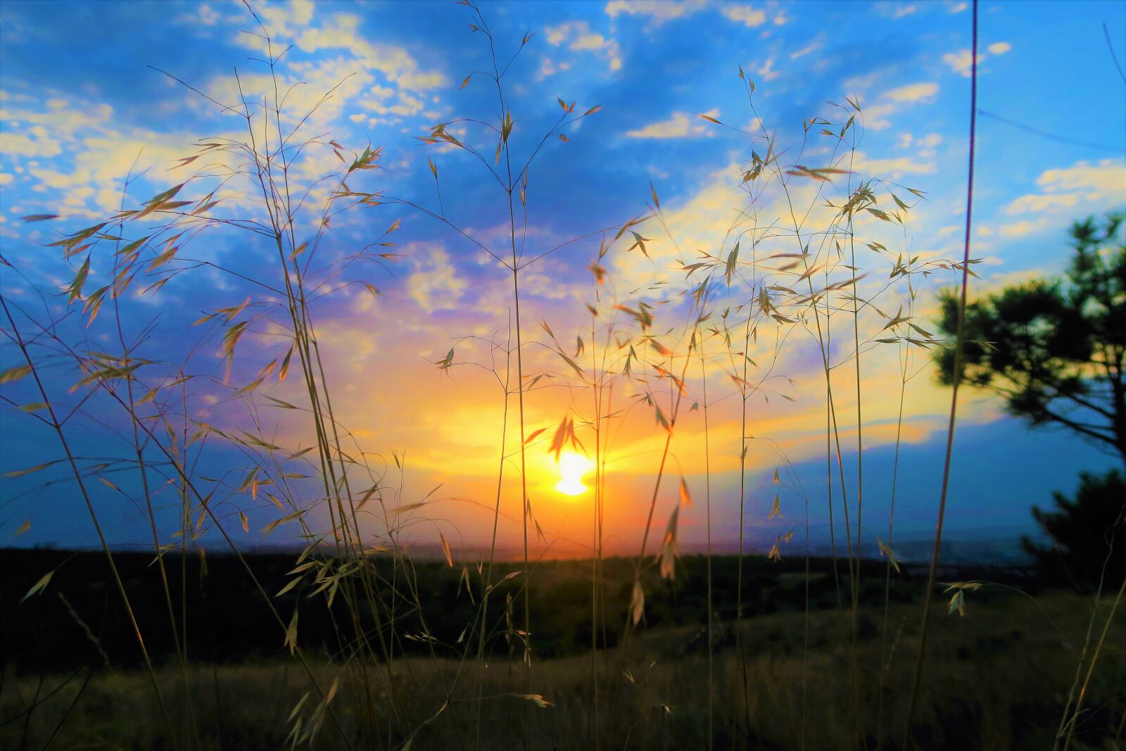 Canon PowerShot G7 X sample photo. Sunset, in the evening photography