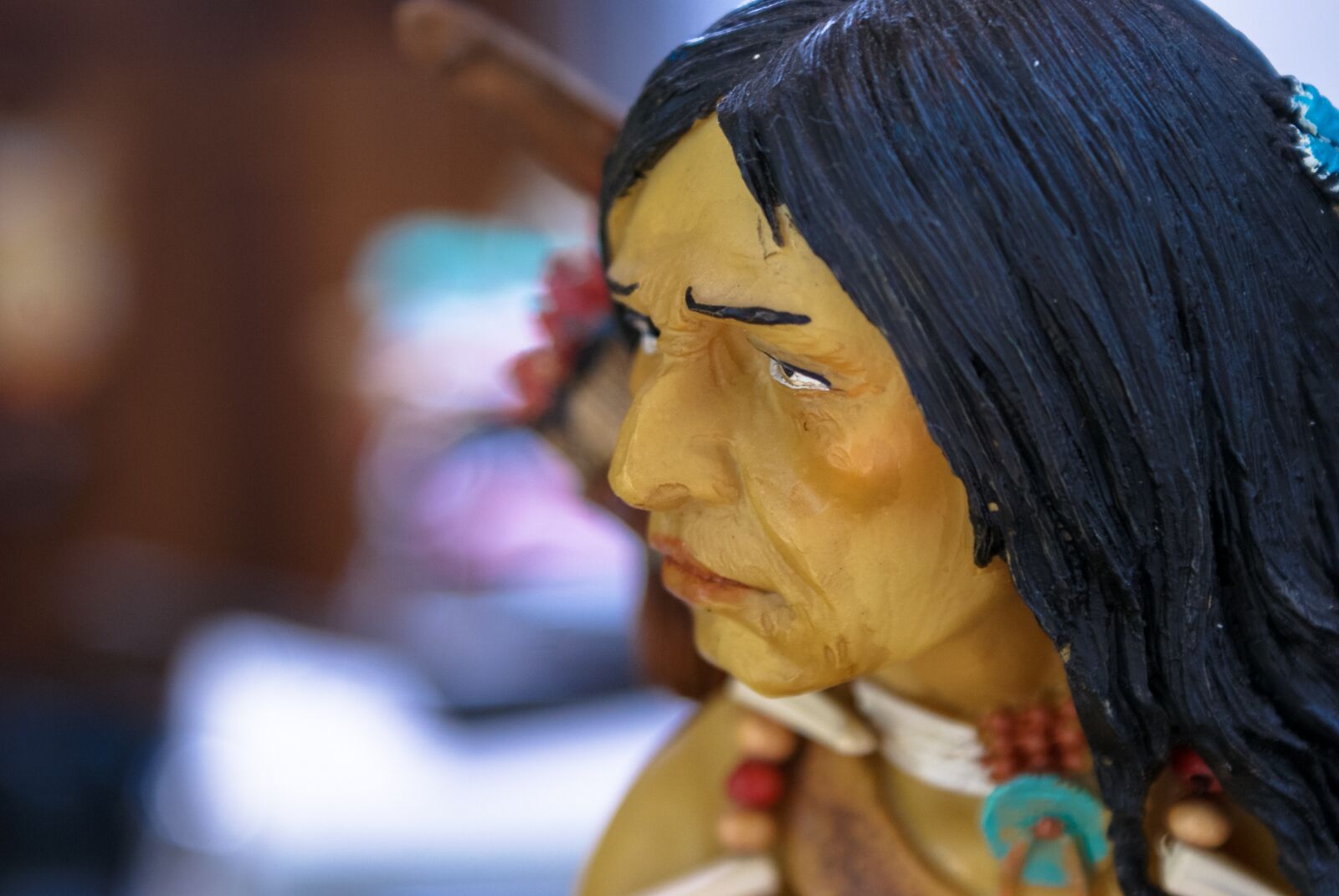 Sony Alpha DSLR-A230 sample photo. Indian, brazil, art photography