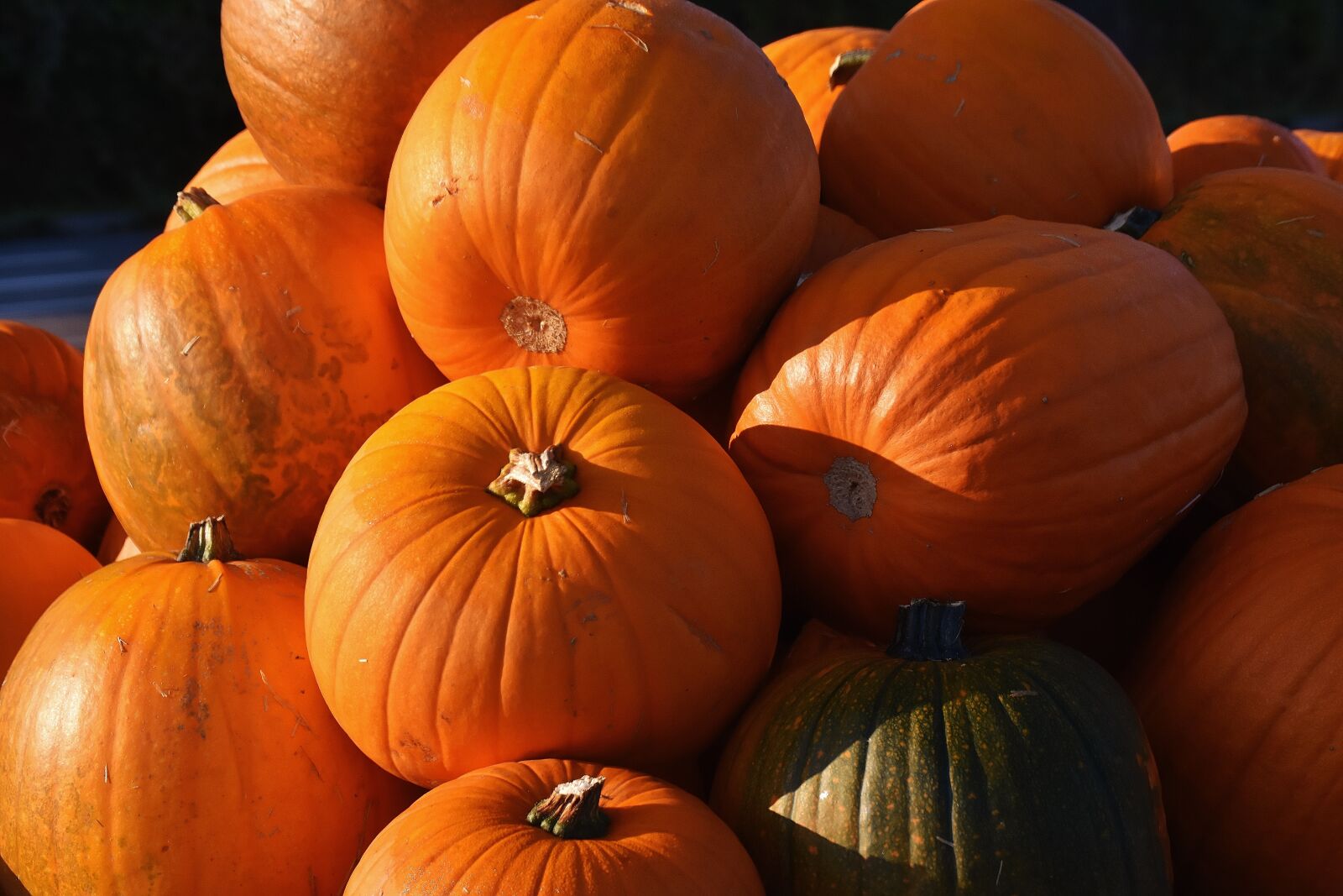 Nikon D7200 sample photo. Pumpkins, autumn, autumn decoration photography