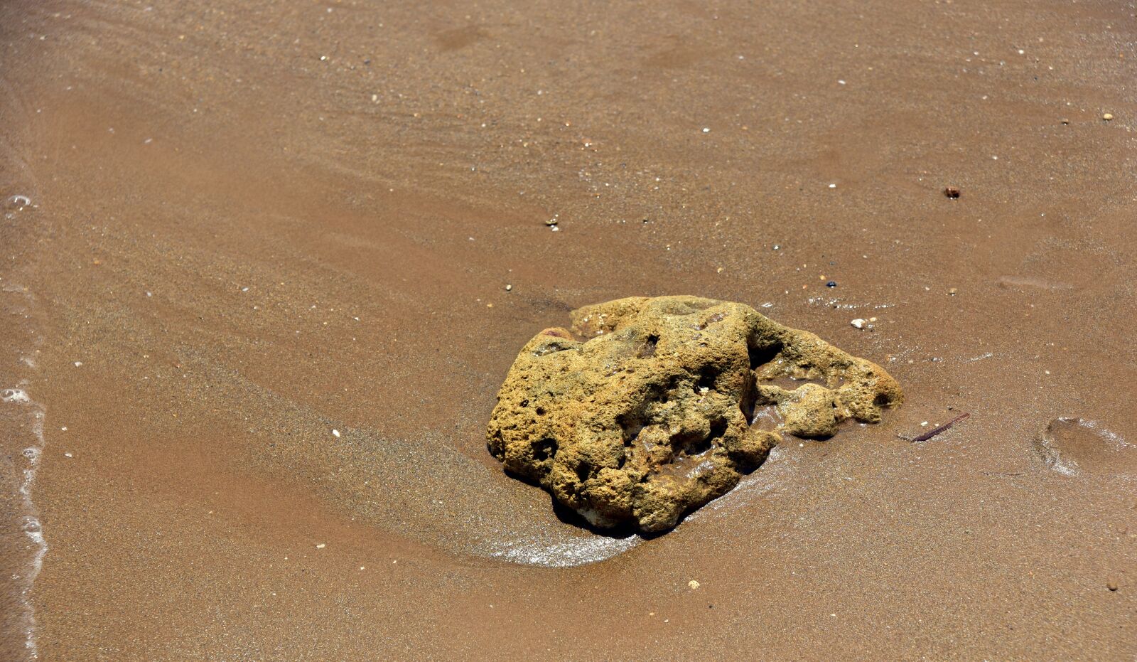 Nikon D750 sample photo. Sand, beach, rock photography