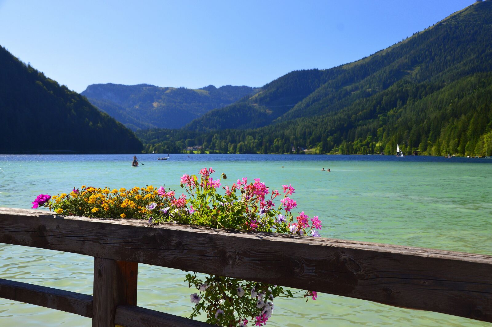 Nikon D3200 sample photo. Lake, flower, austria photography